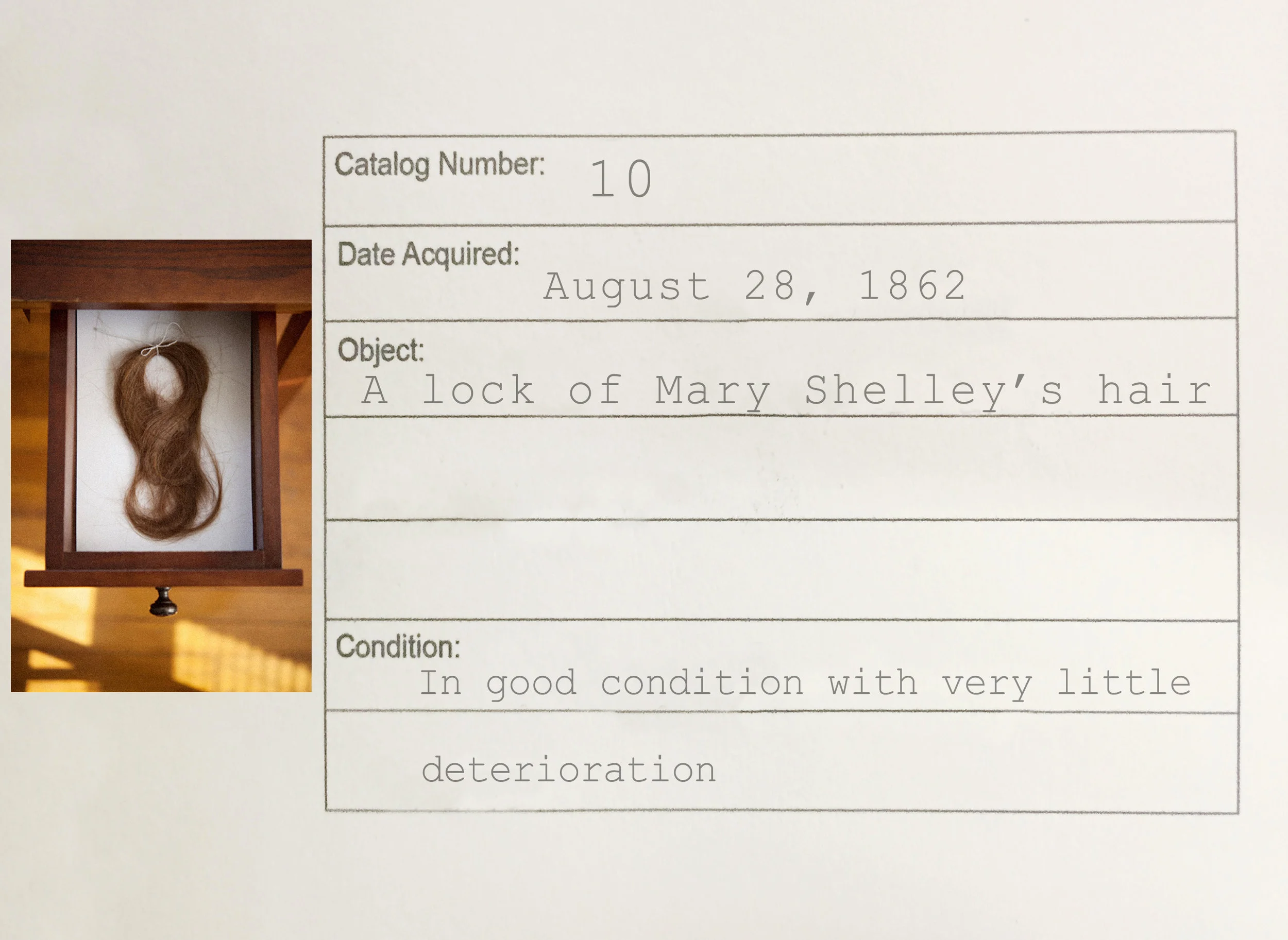 10_Relics_MaryShelleytyped.jpg