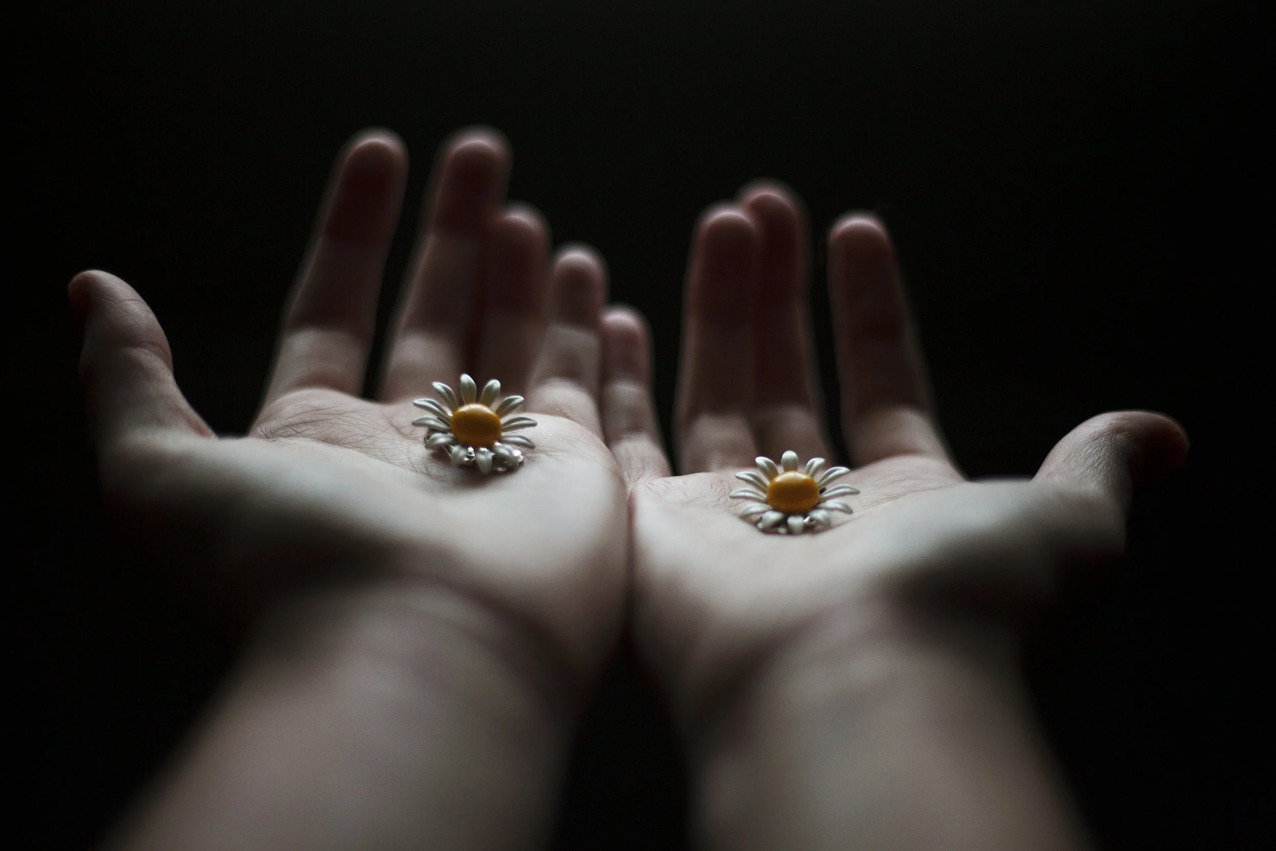 1_JewelryBox_2014.jpg