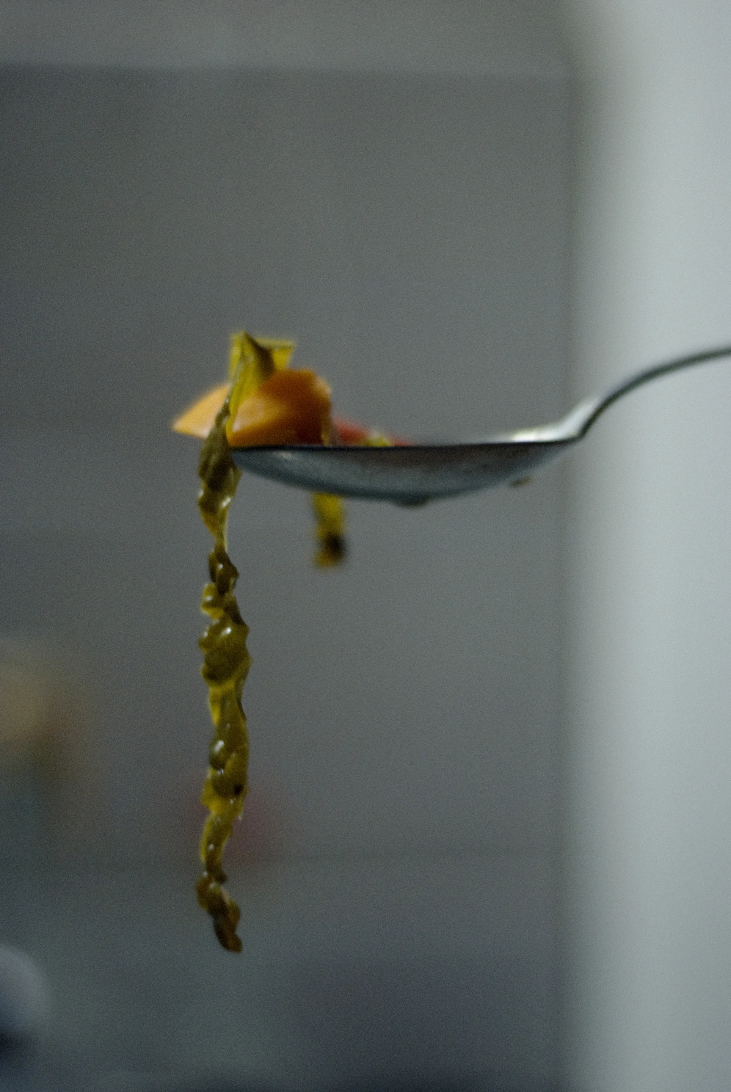 fragments_zucca.jpg