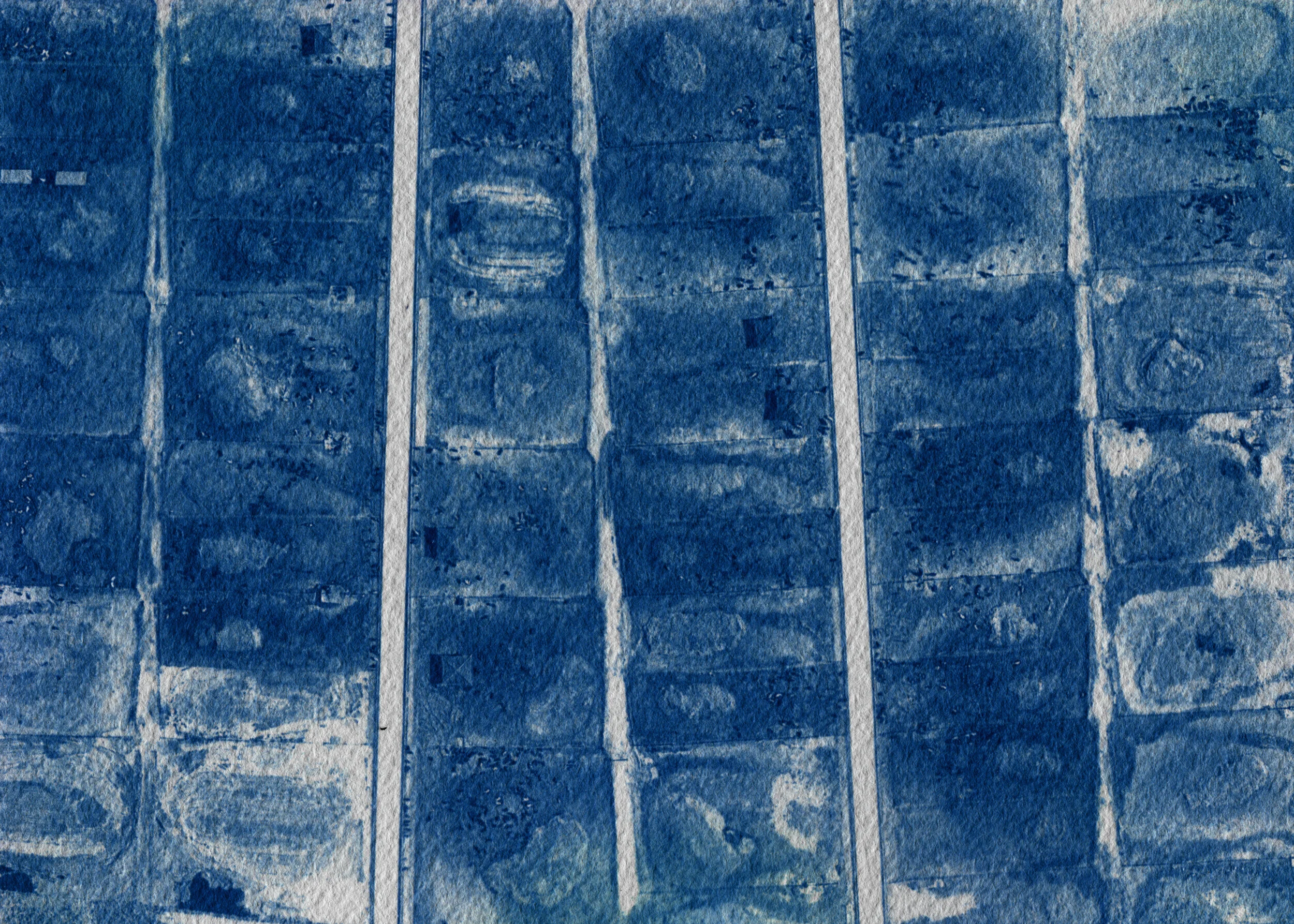 11Feedlot_Cyano051_cropped.jpg
