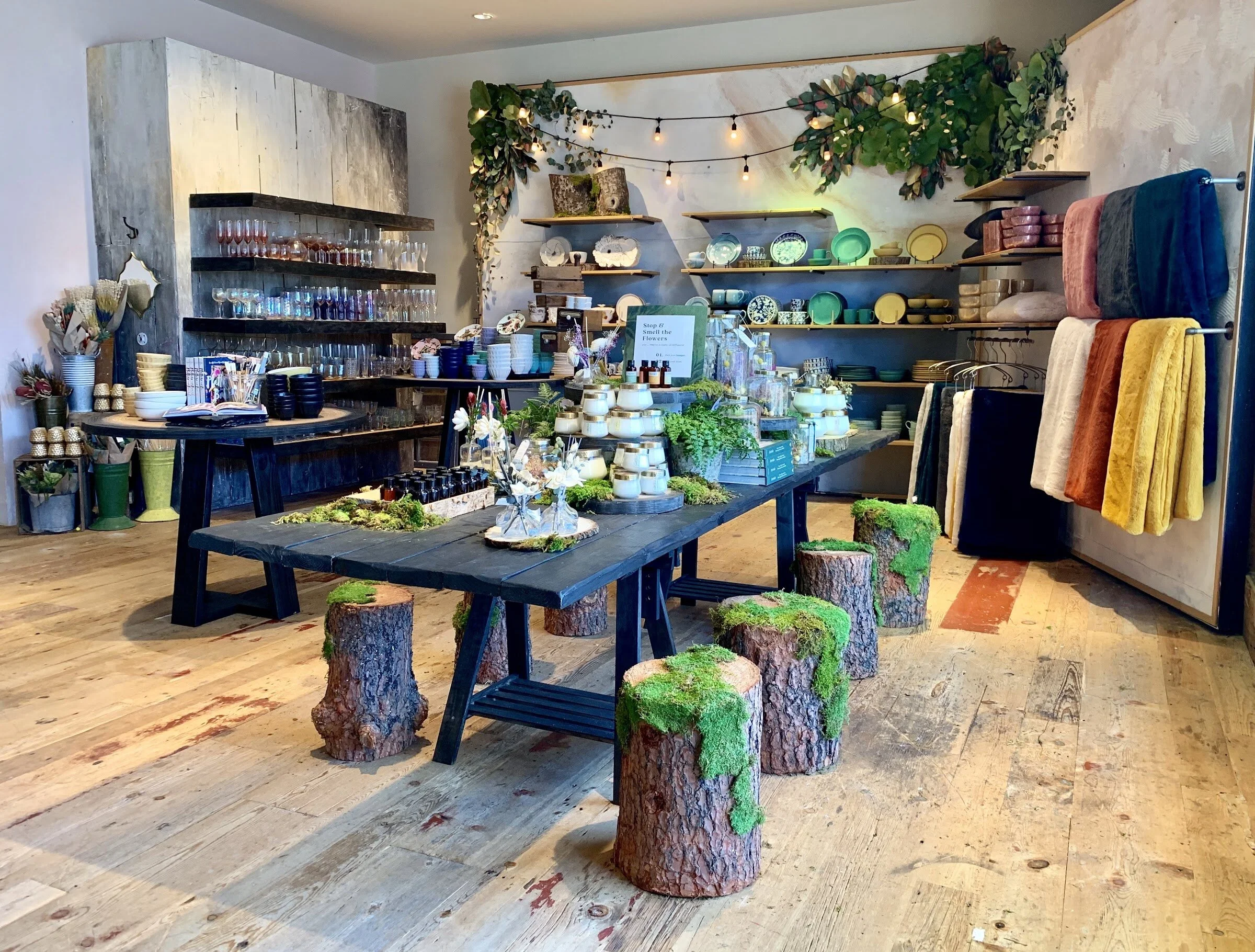 516_lichen_1_8.30 .jpeg