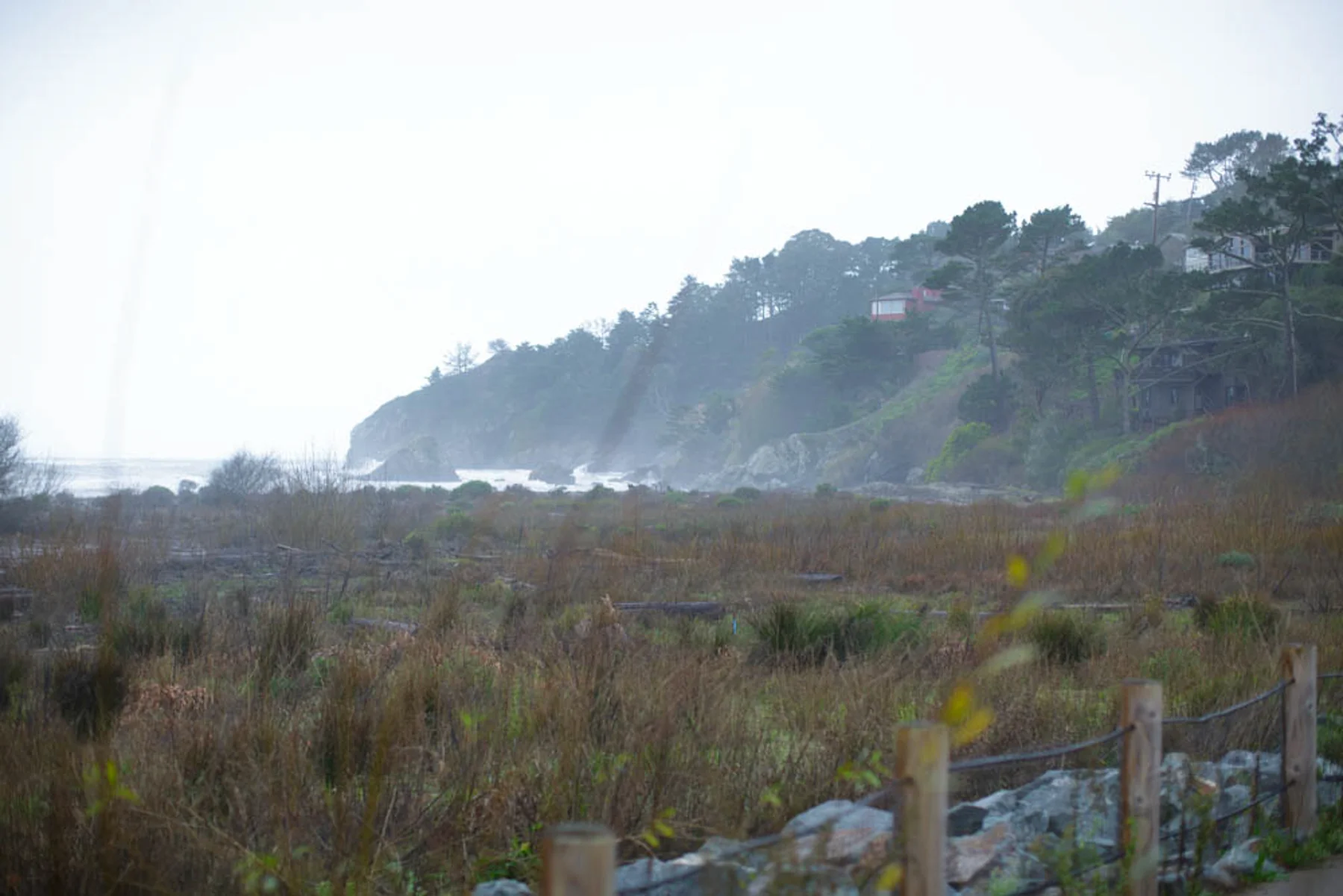 muir_woods_beach_moody_engagement-6.jpg