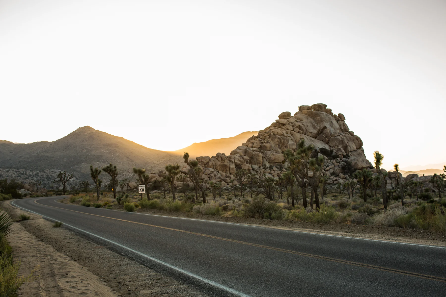 bohemian_joshua_tree_enagagement_session-25.jpg