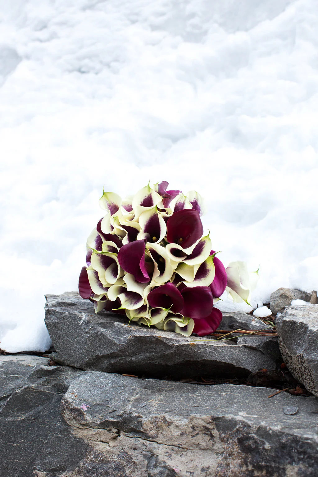 ritz_carlton_lake_tahoe_wedding-2.jpg