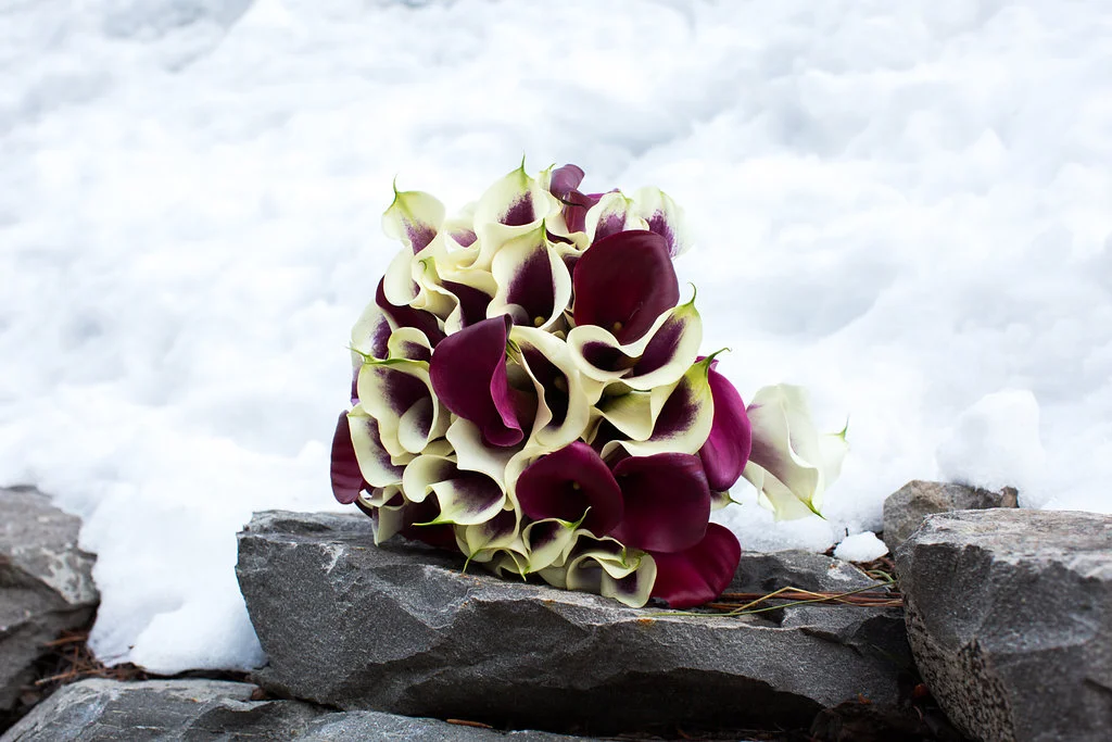 ritz_carlton_lake_tahoe_wedding-3.jpg