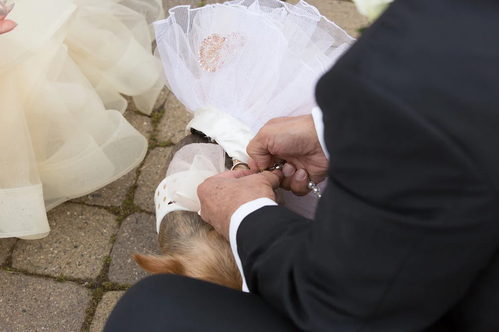 ritz_carlton_lake_tahoe_wedding-153.jpg