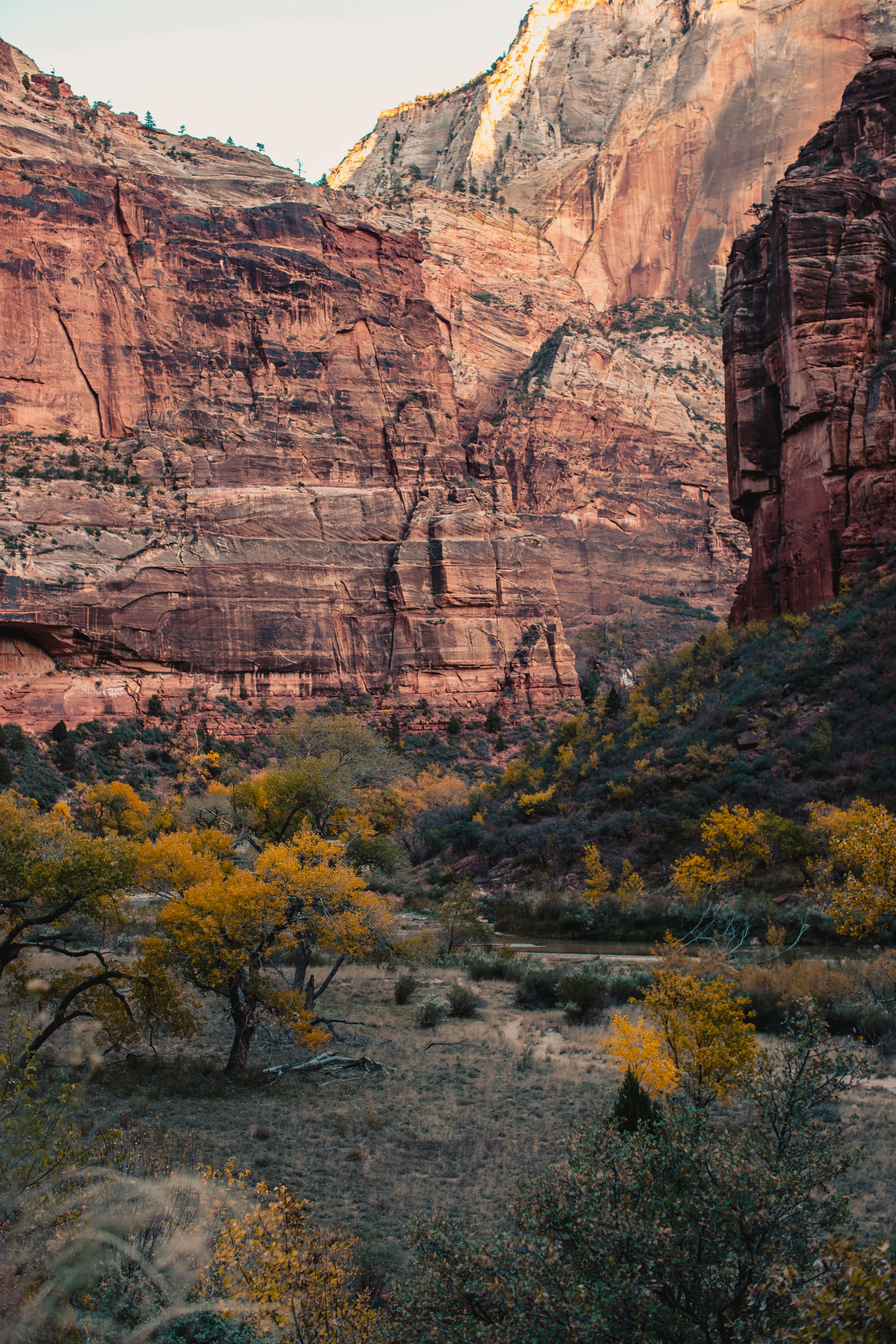 1-zion_elopement_the_argus_image.jpg