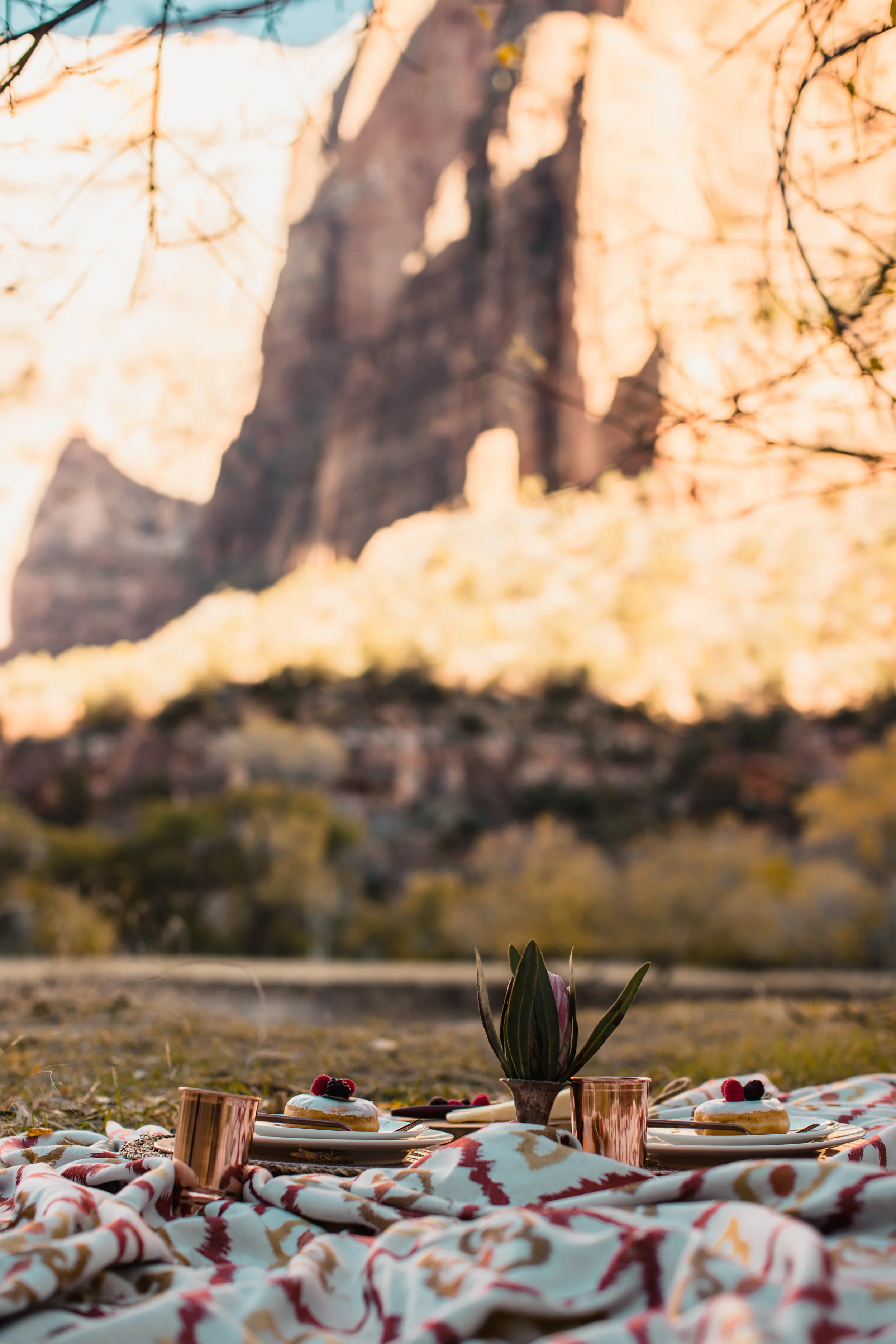 23-zion_elopement_the_argus_image.jpg