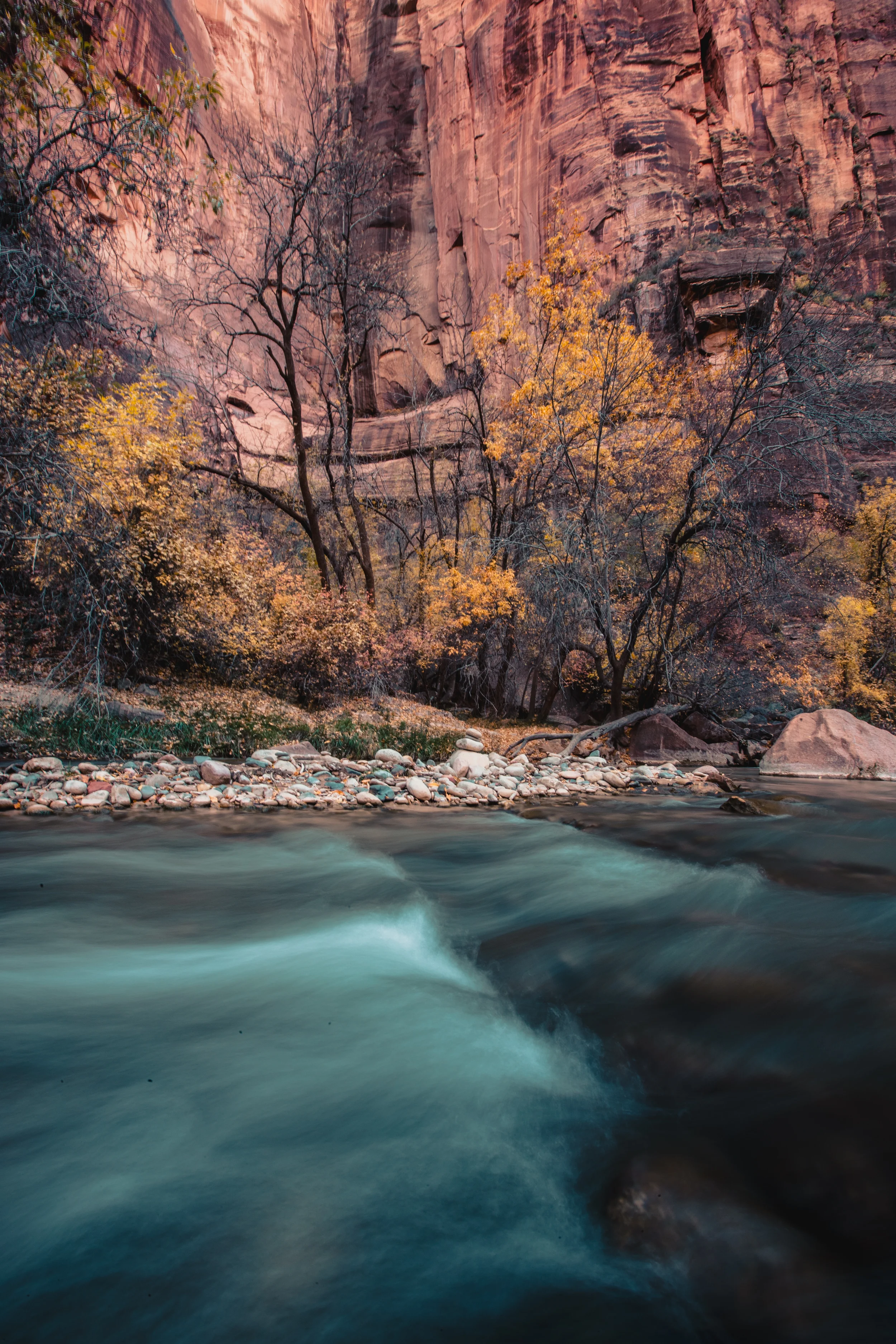 38-zion_elopement_the_argus_image.jpg
