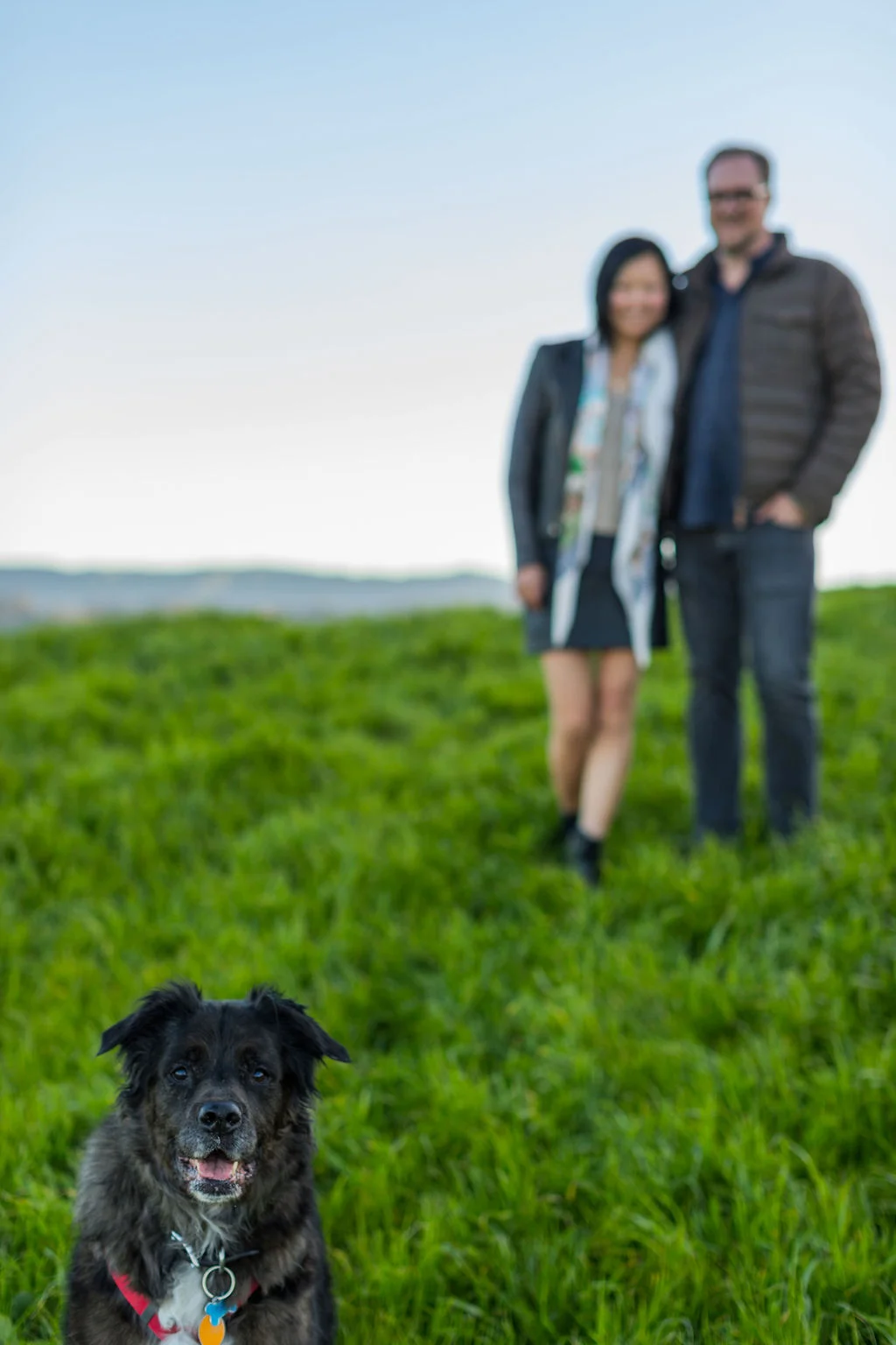 334-bernal_heights_proposal_the_argus_image.jpg