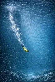 The “Diving Deeper” Tai Chi Workshop - Seattle