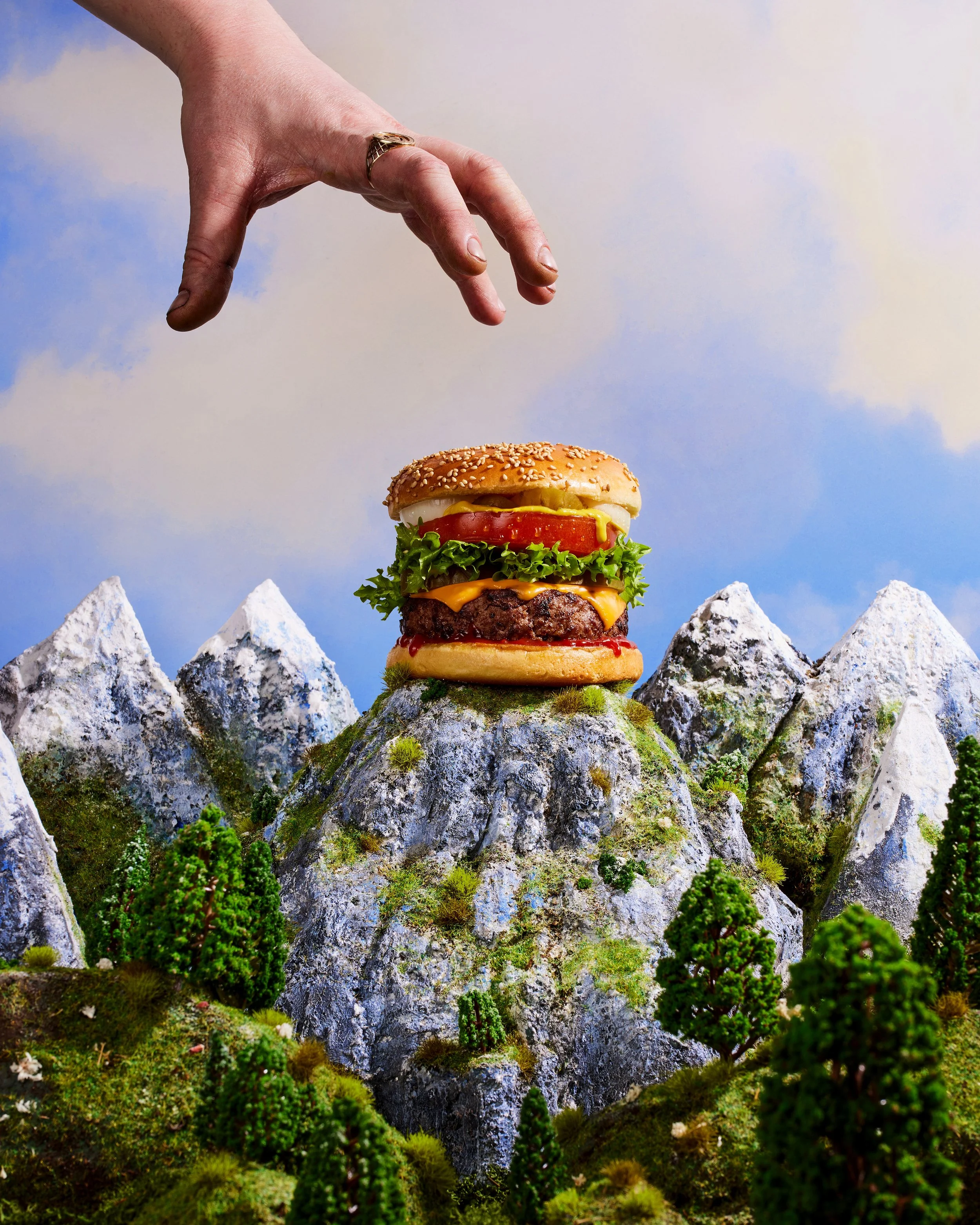 Burger Mountain 2 copy.jpg