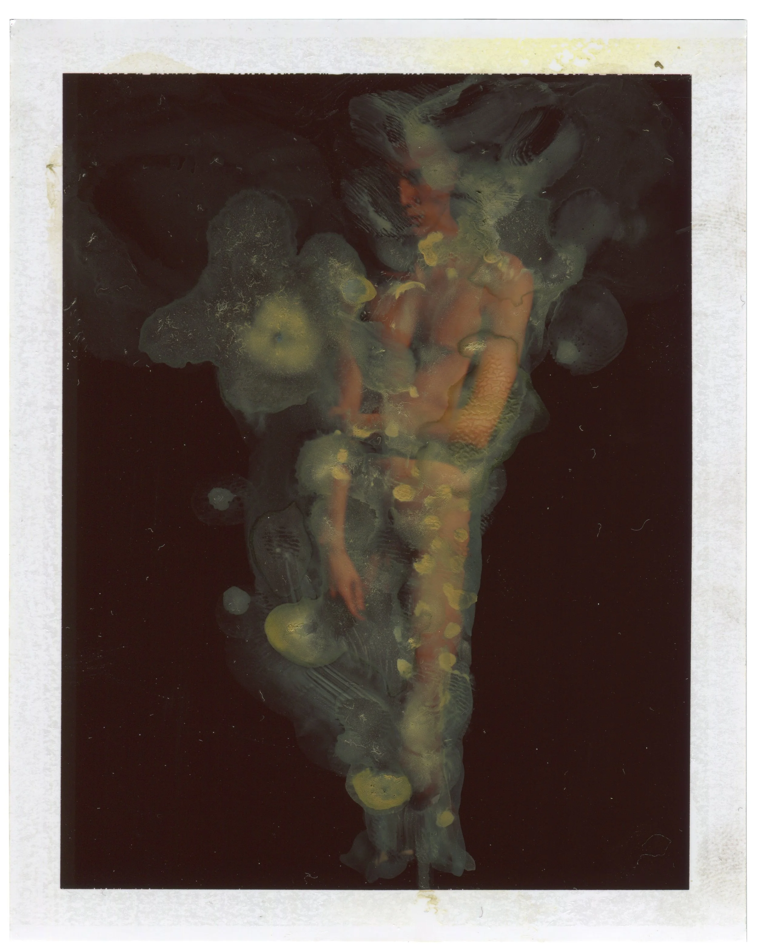22022017-polaroid360land-22022017003.jpg