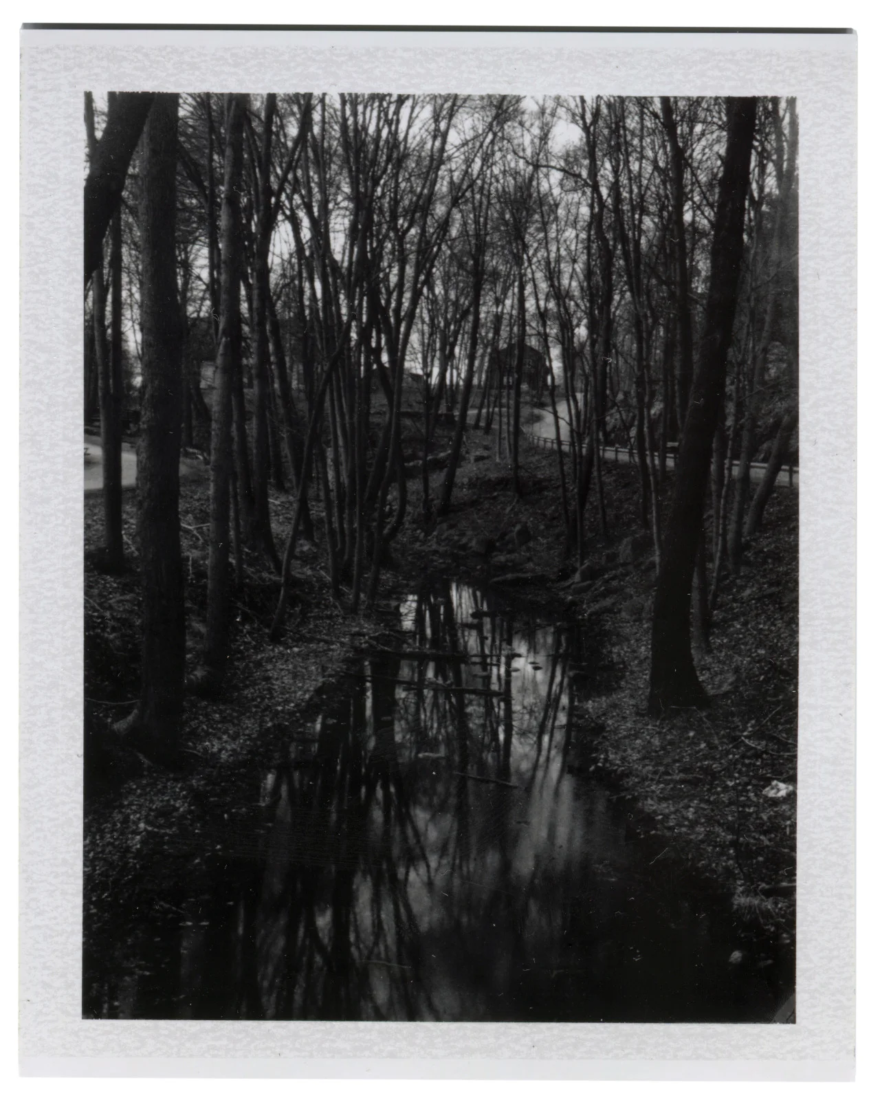 SURROUNDINGS
