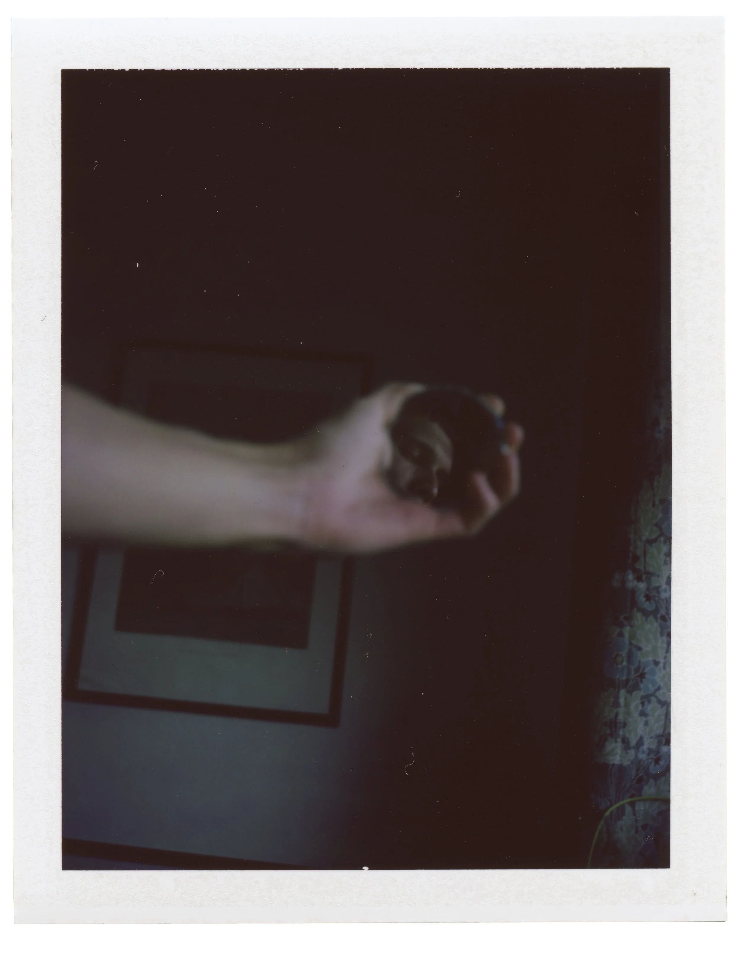 Mirror, September 3 2018 (Polaroid 360 Land, FP-100c)