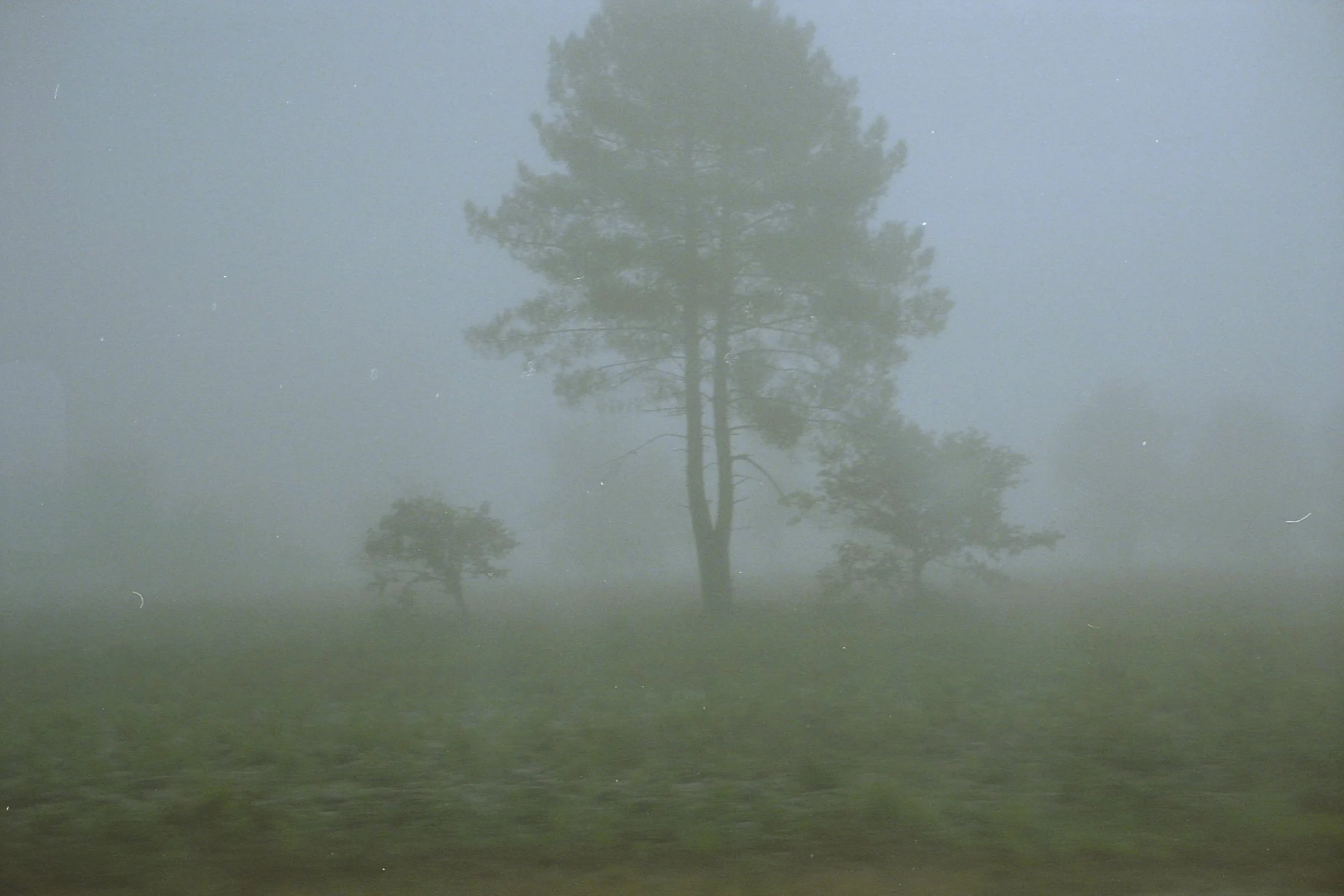 Train to Biarritz, September 2018 (Kodak Portra 800) (Copy)