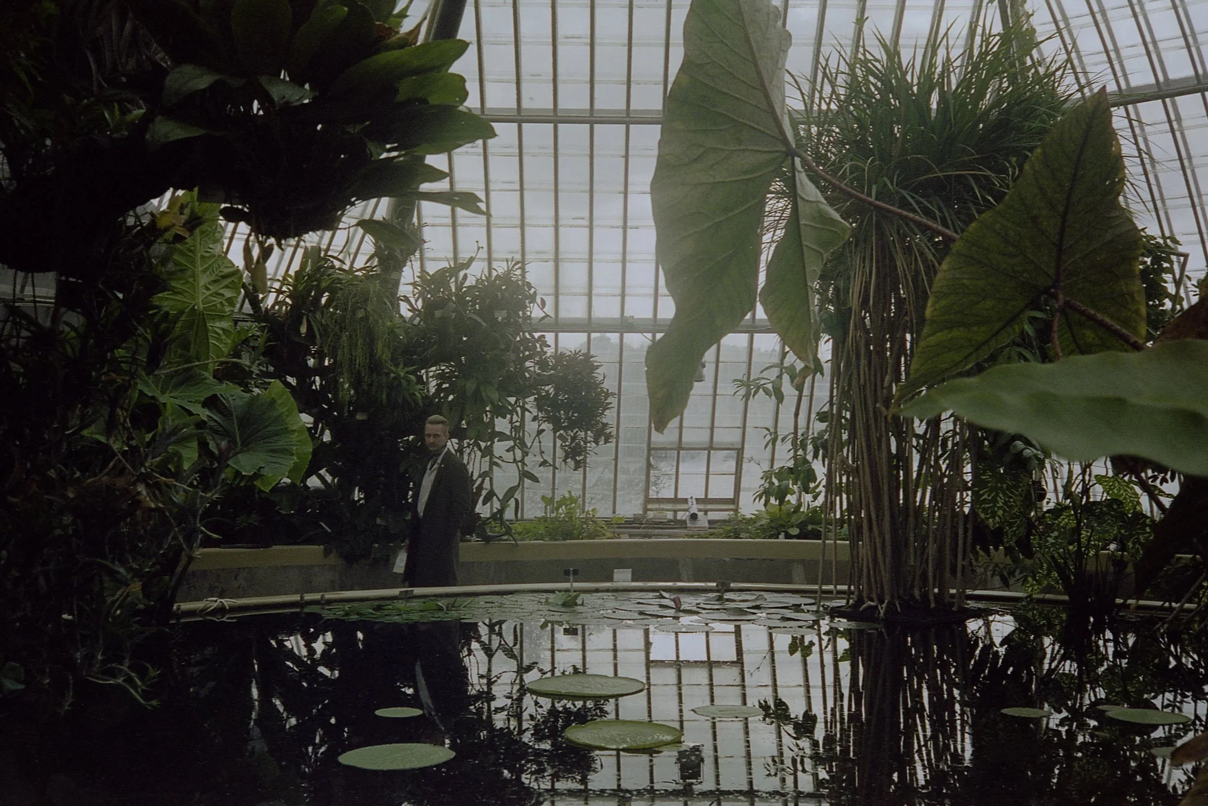 Stockholm Romanticism (Erik), May 4 2019 (Canon A35F, Kodak Portra 400 35mm)  (Copy)