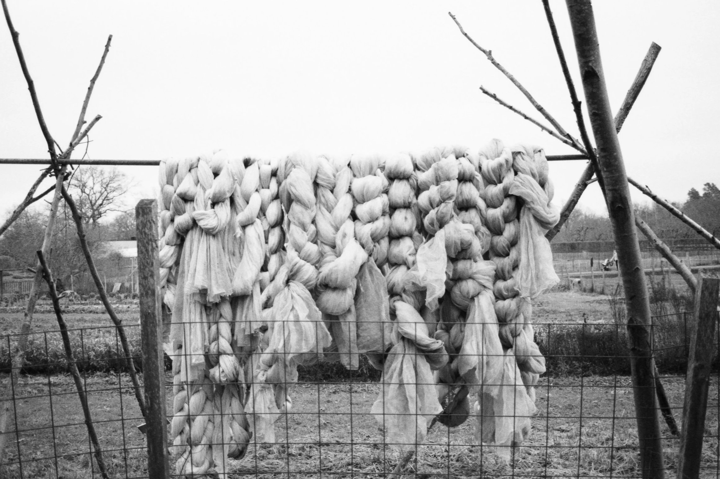 Stockholm Romanticism, December 16 2025 (Canon FTb, Rollei Superpan 200)