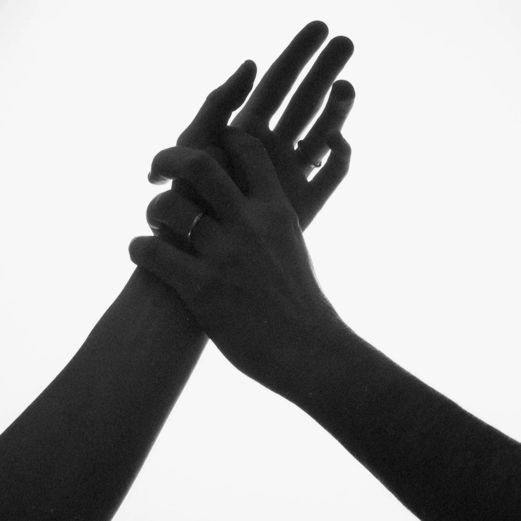 Hands, January 21 2026 (Hasselblad 500C/M, Rollei Superpan 200