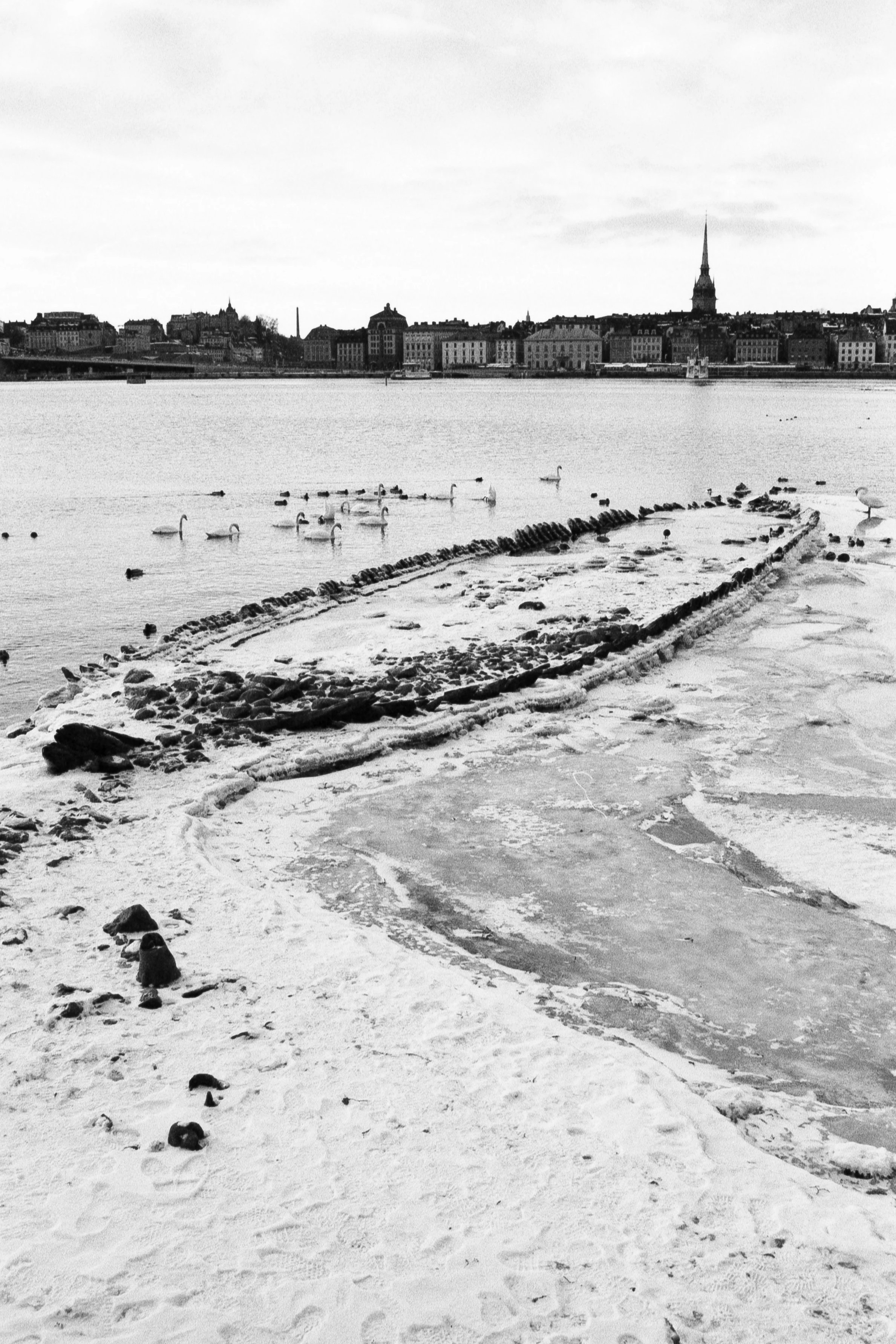 Shipwreck, February 8 2026 (Canon FTb, Rollei Superpan 200)