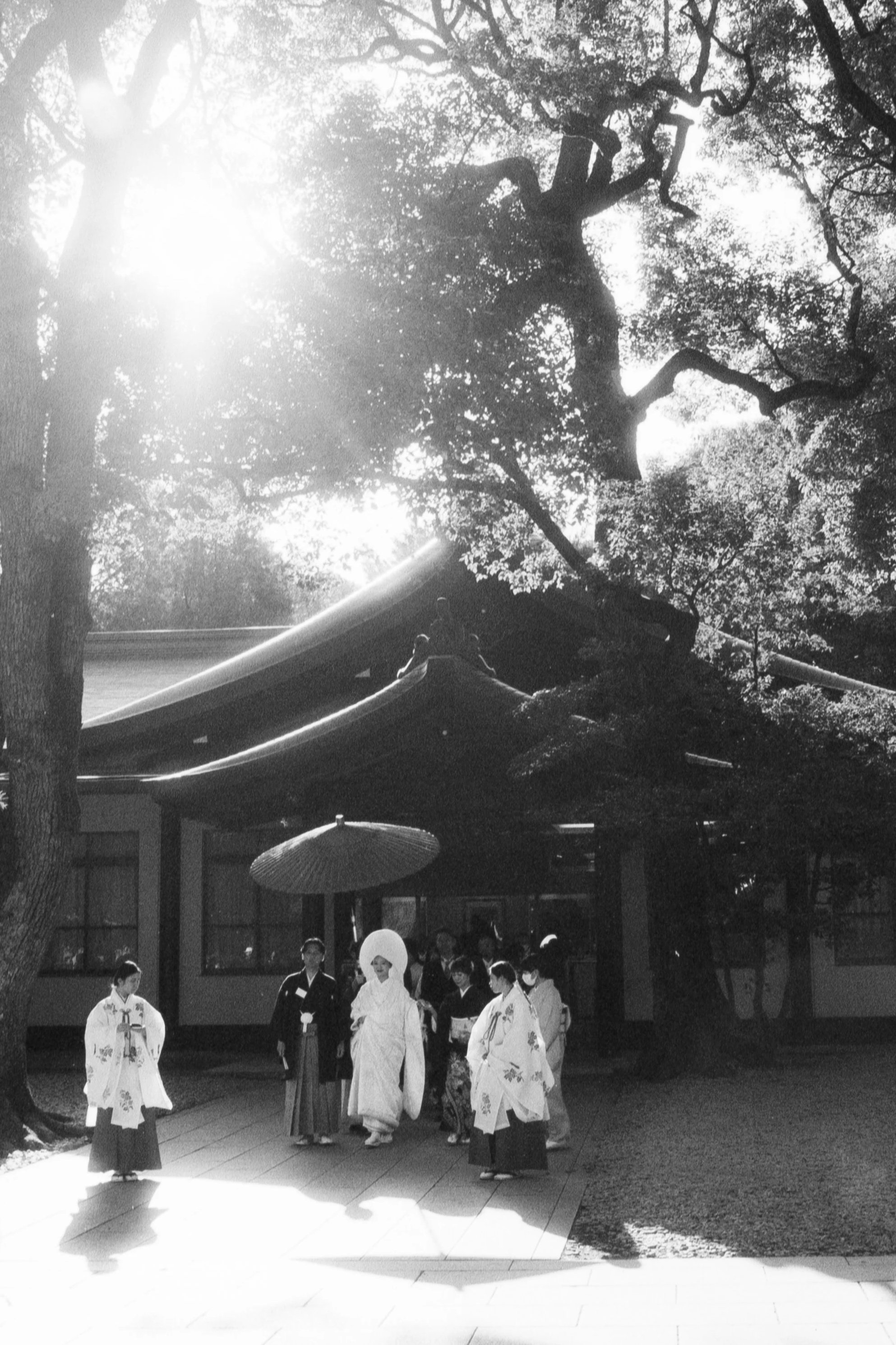 Shinto wedding at Meiji Jingu, March 14 2026 (Canon FBt, Kentmere 200)