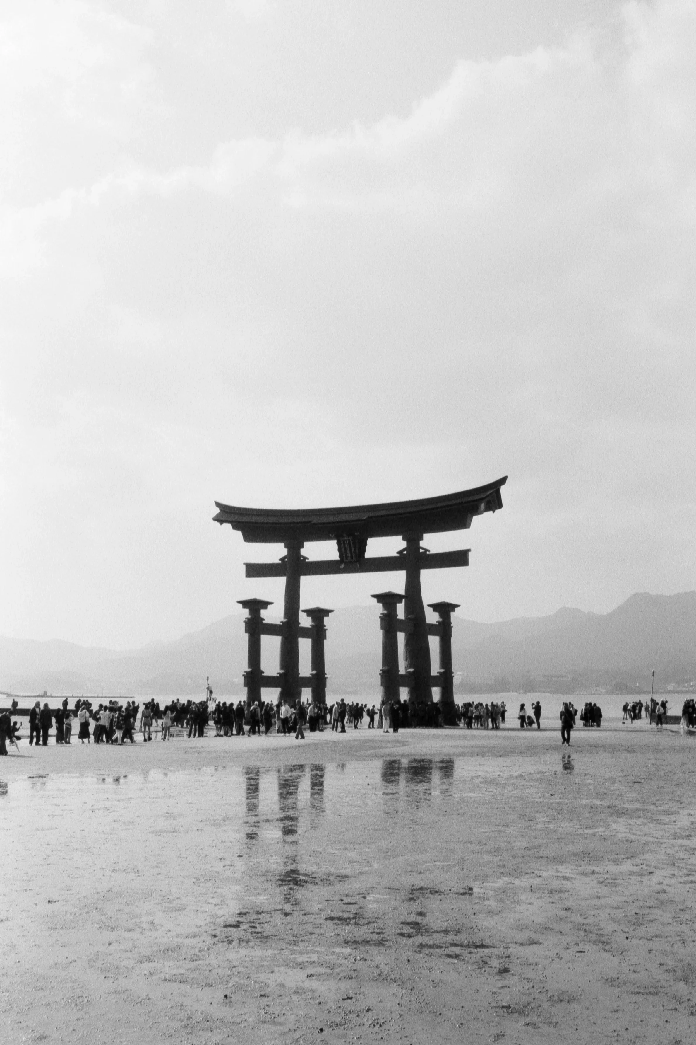 Miyajima, March 19 2026 (Canon FTb, Kentmere 400)