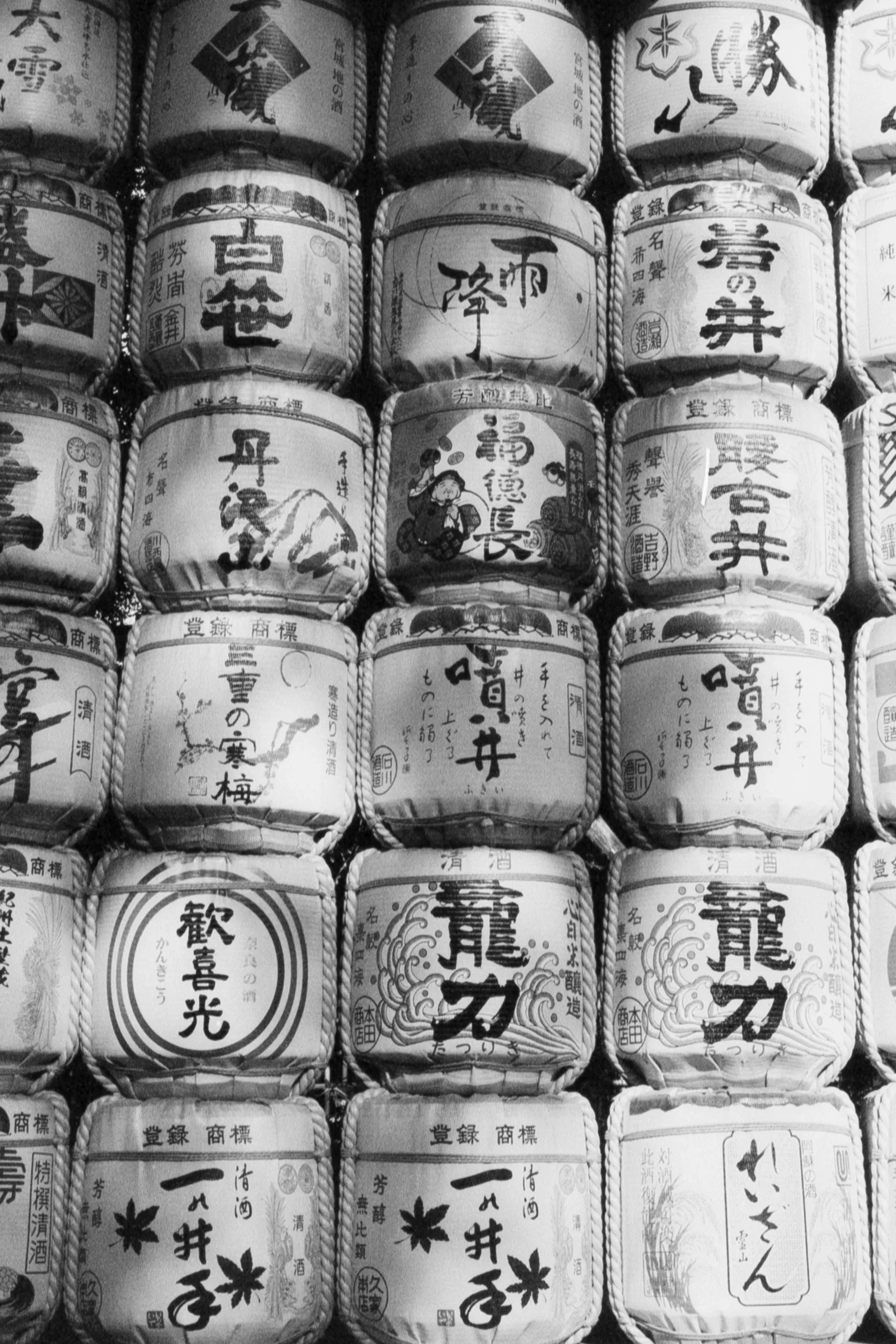 Meiji Jingu, March 14 2026 (Canon FBt, Kentmere 200)