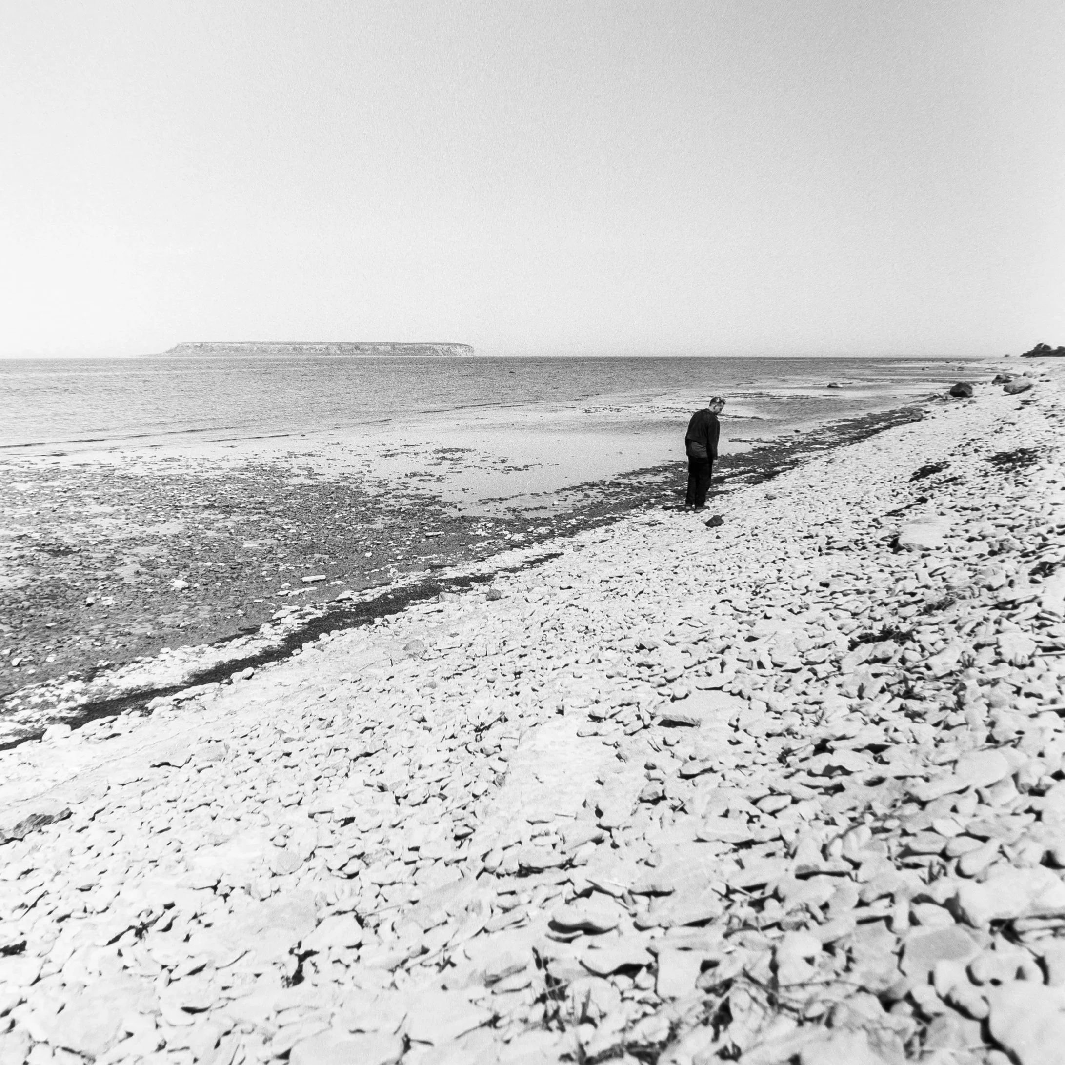 Ekstakusten, May 1 2026 (Hasselblad 500C/M, Ilford Ortho 80)