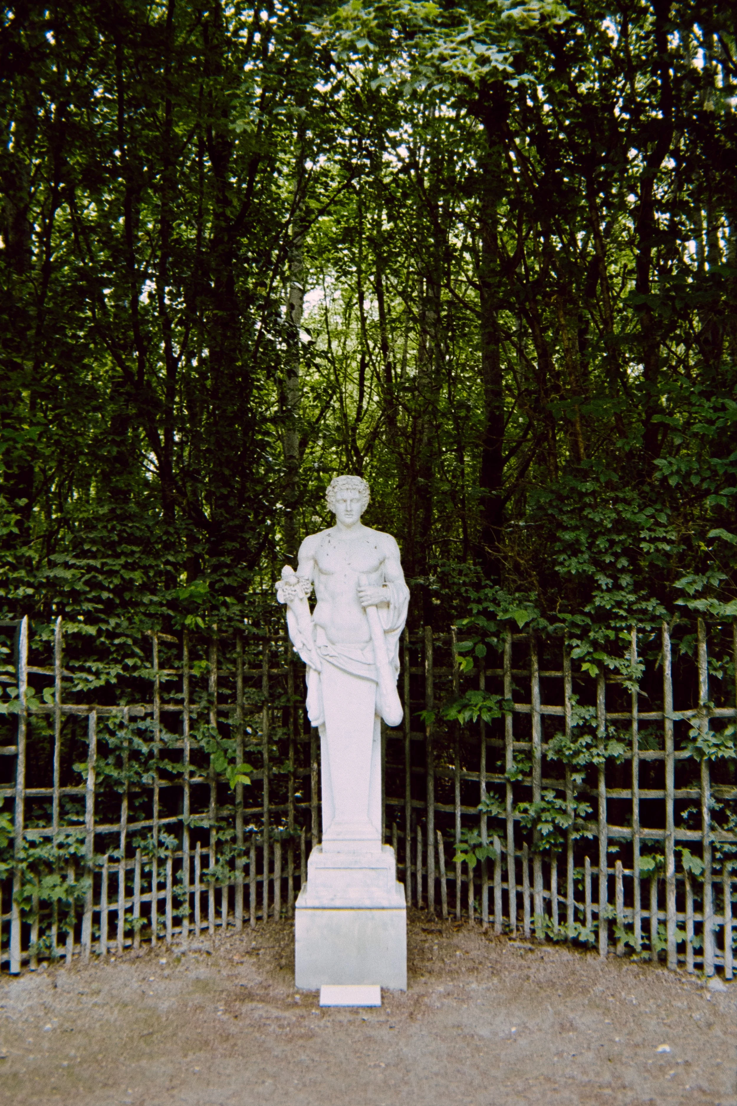 Château de Versailles, May 10 2026 (Canon FTBb, Kodakolor 100)