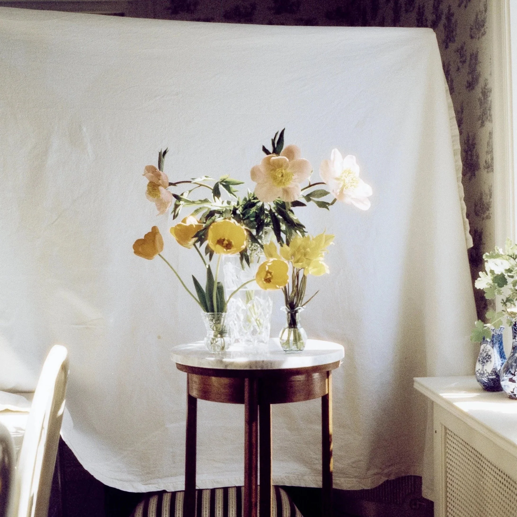 MEDIUM FORMAT (COLOR)