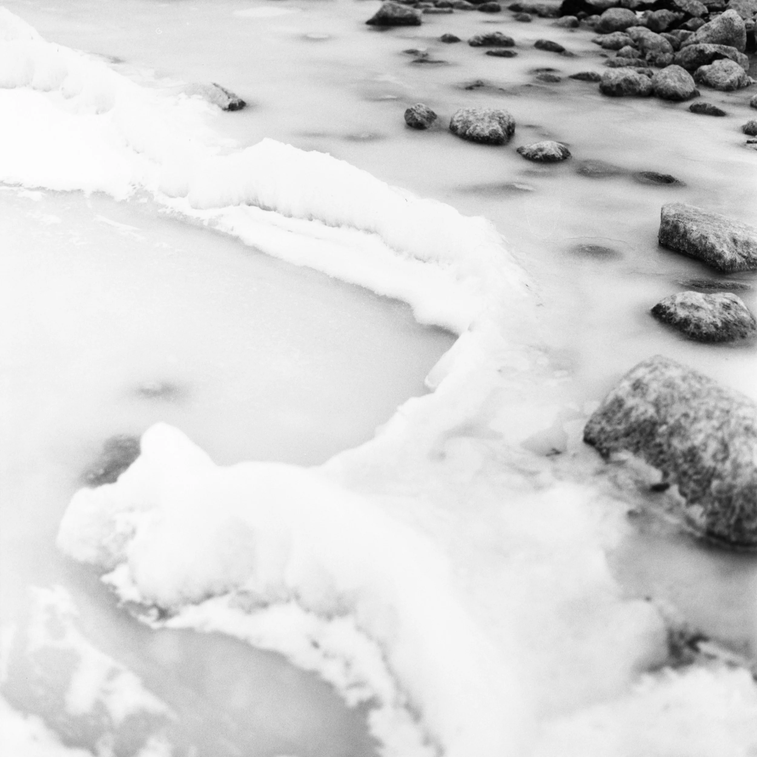 Ekstakusten, February 20 2026 (Hasselblad 500C/M, Ilford Ortho 80)