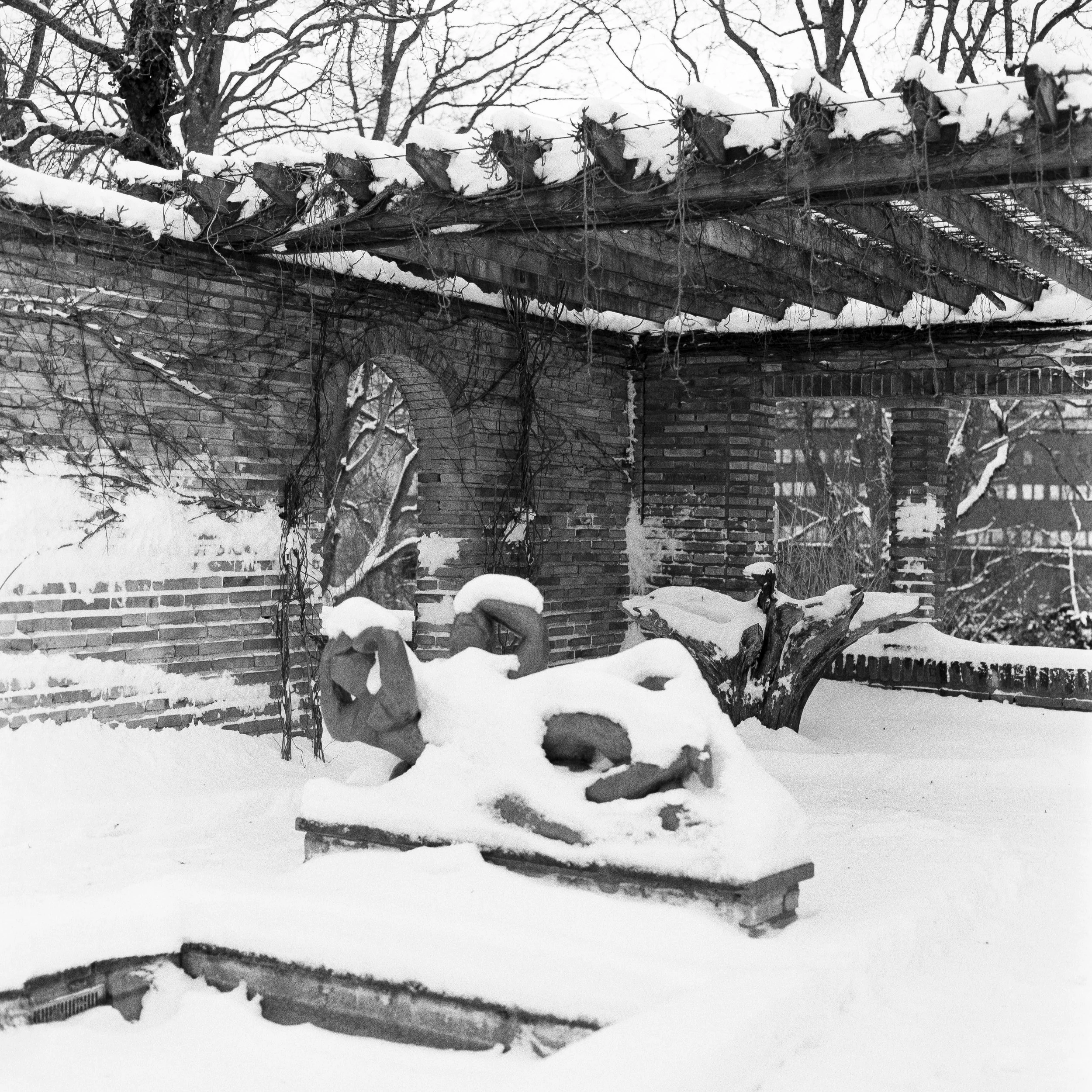 Marabouparken, January 9 2026 (Hasselblad 500C/M, Kentmere 400)