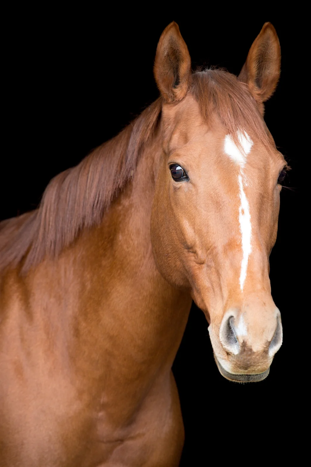 Hattie3.jpg