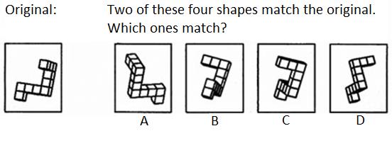 spatial reasoning task.jpg