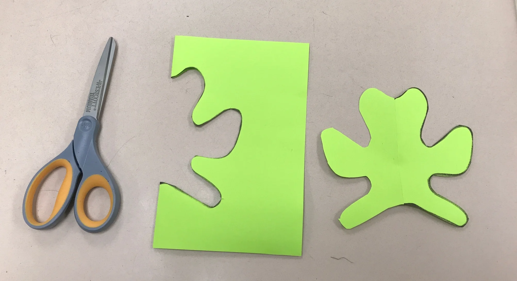 The FoldandCut Challenge — Games for Young Minds