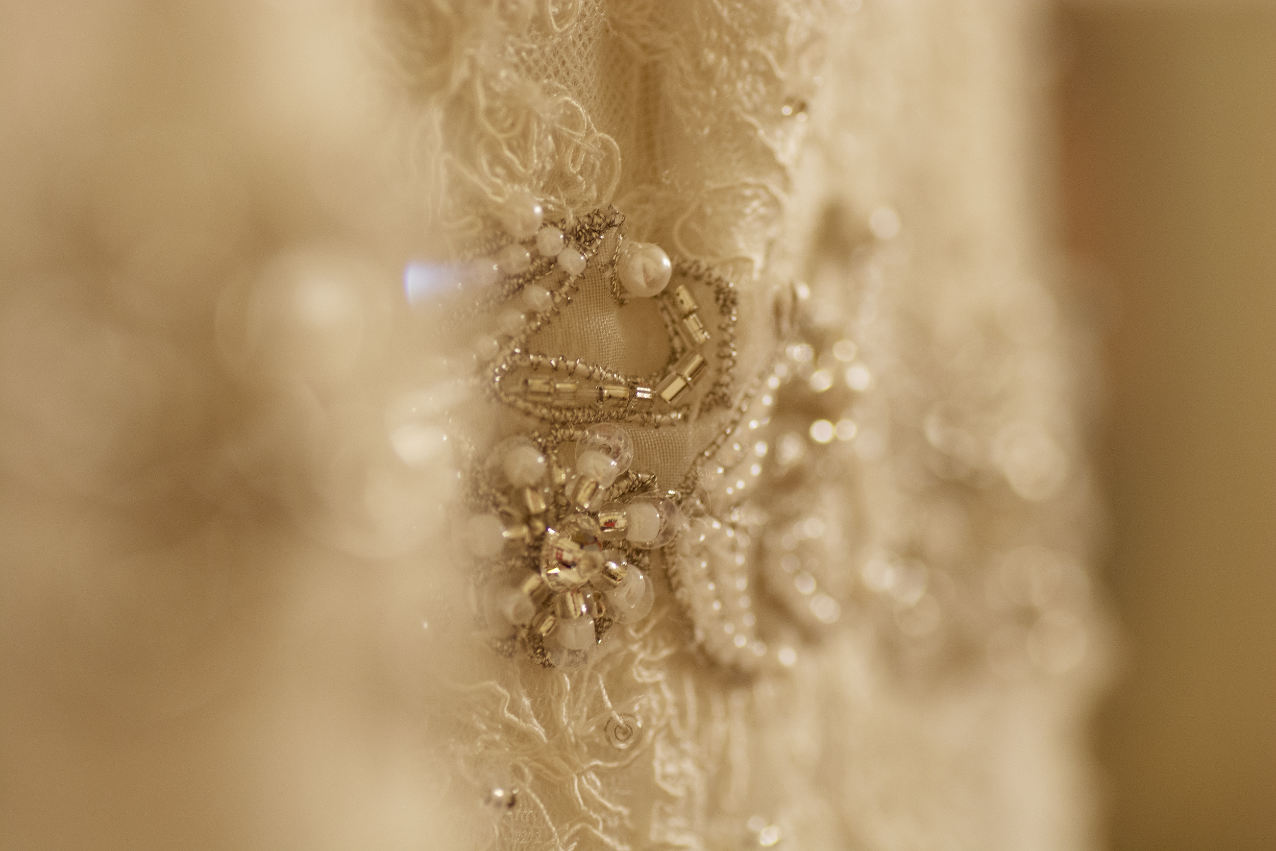 DSC_4815a.png