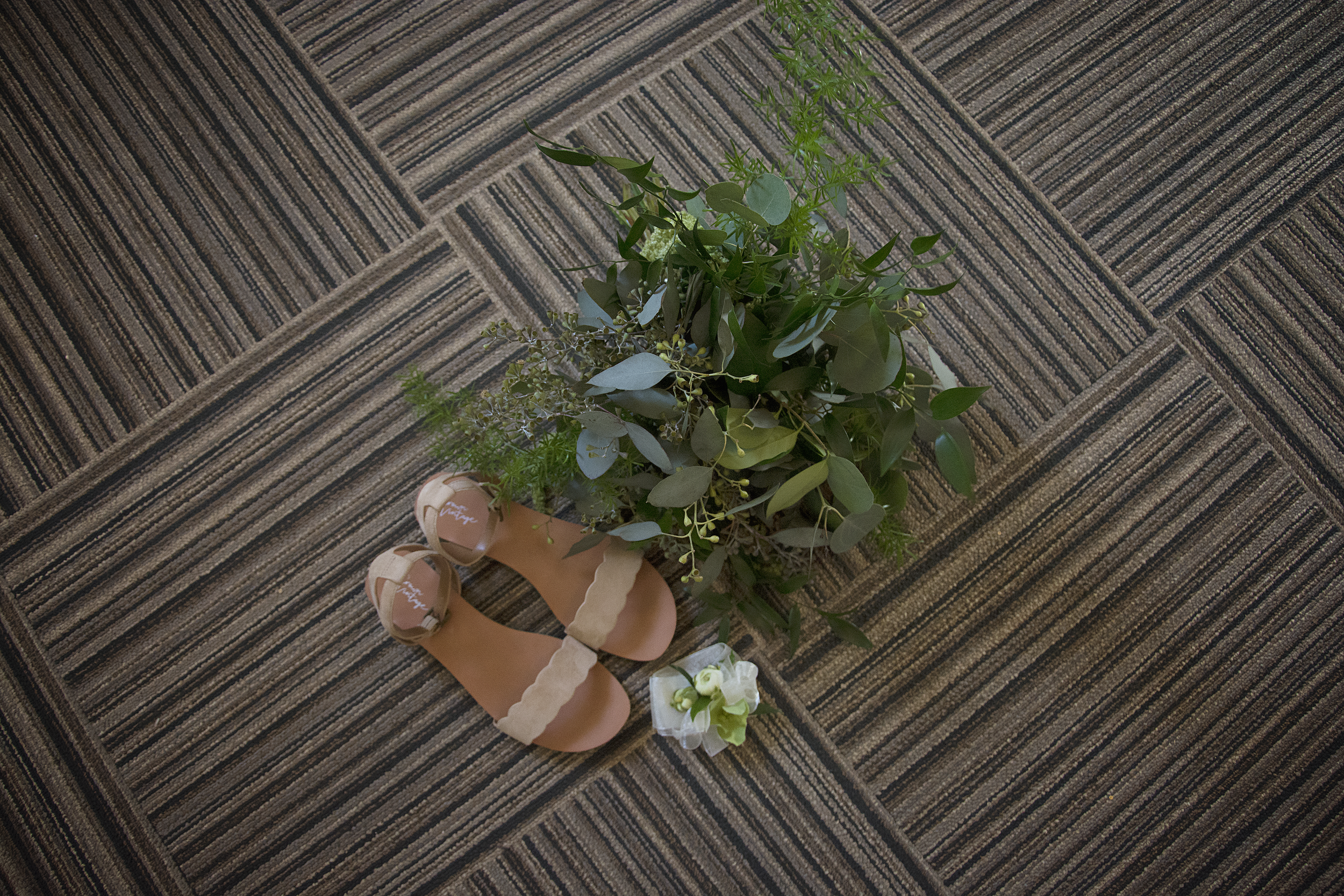 DSC_5661a.png