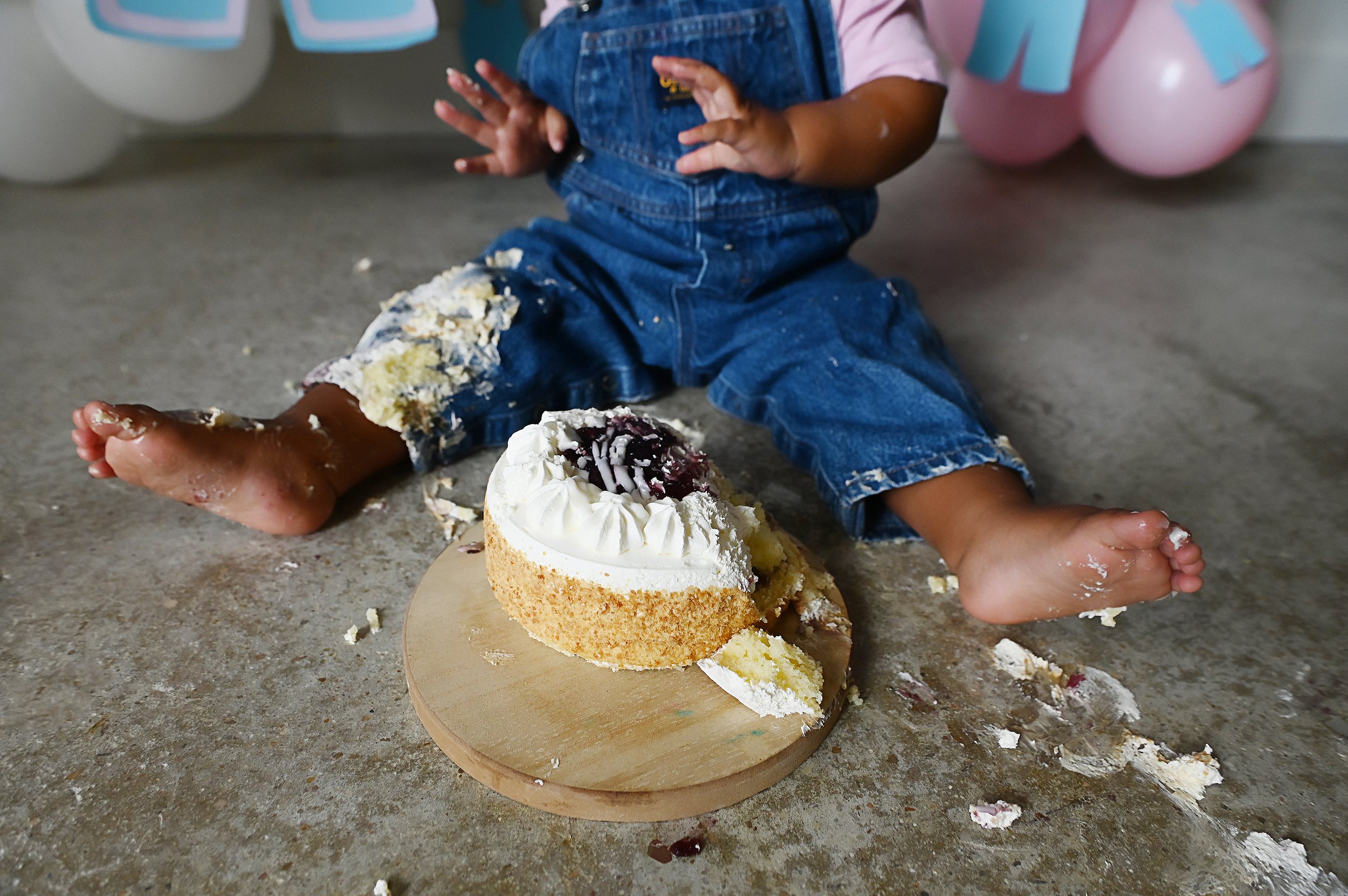 First Birthday Photographer
