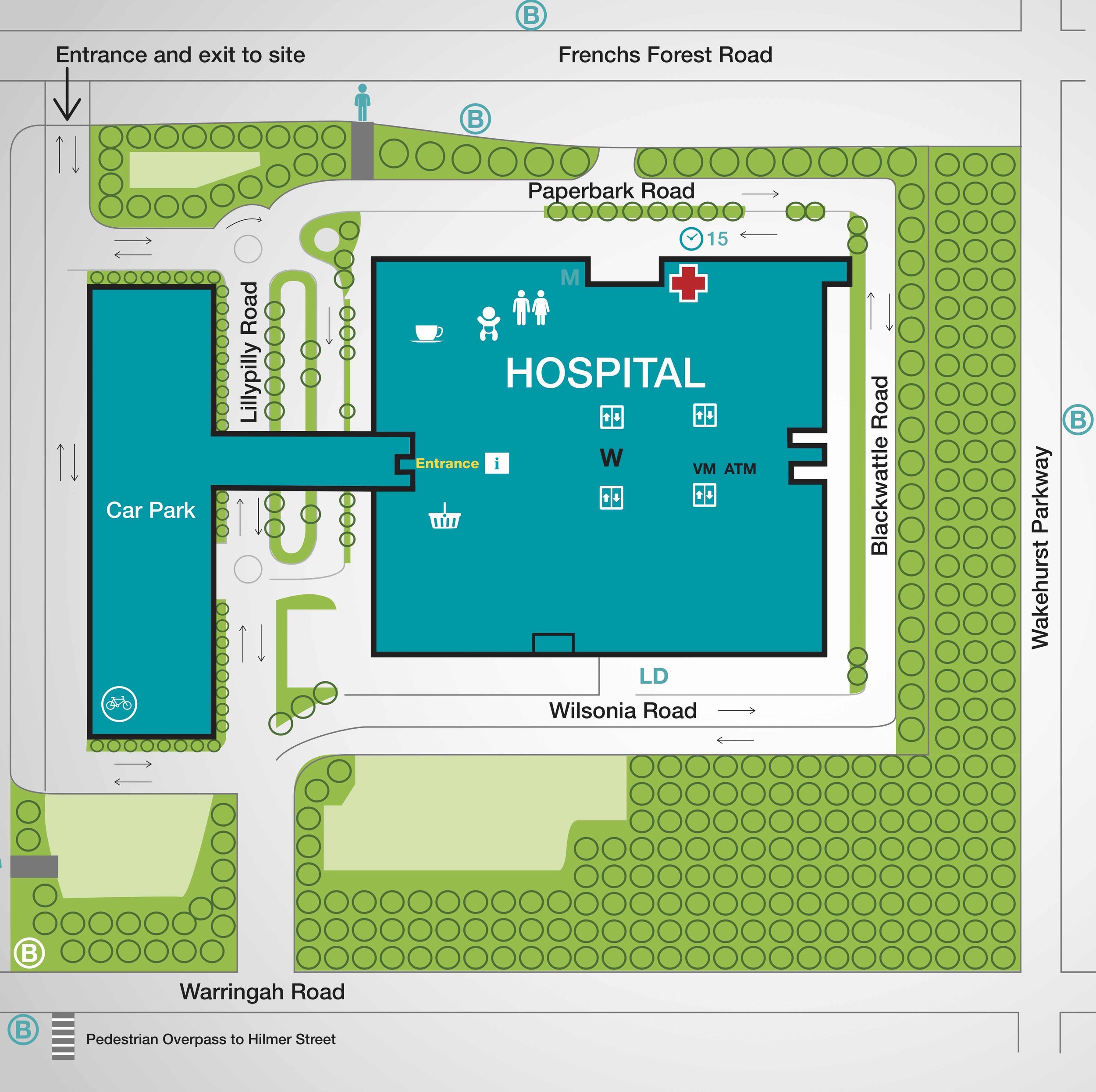 Northern Beaches Hospital.jpg