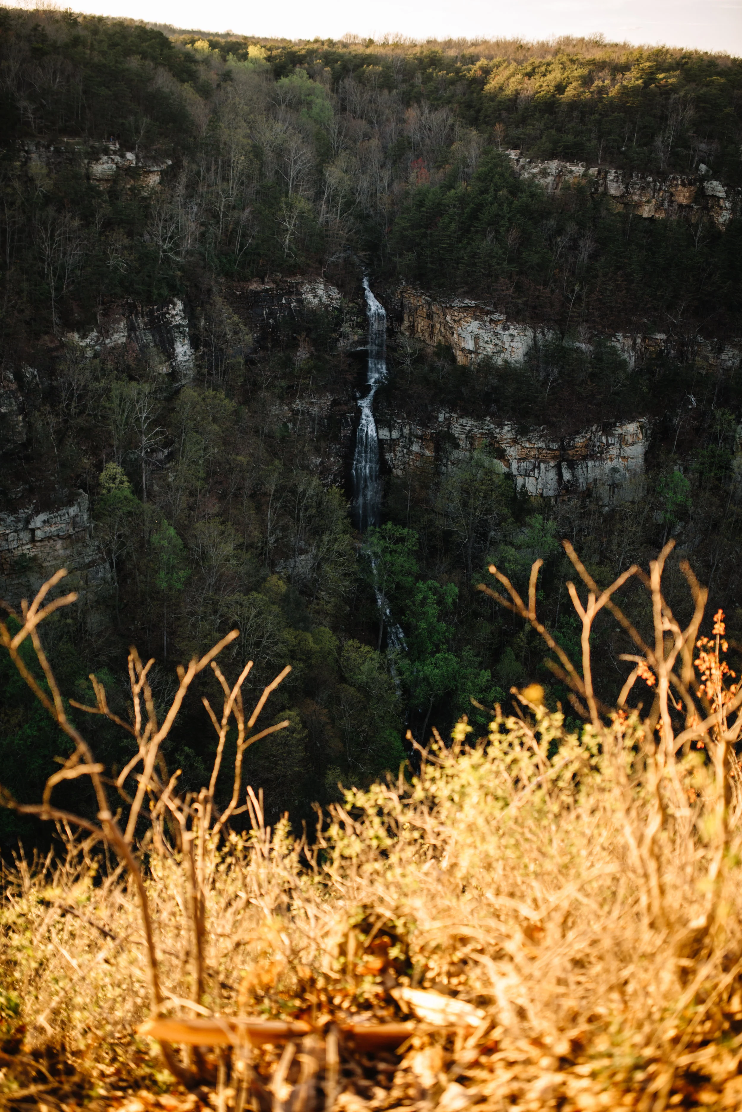DSC_1746.jpg