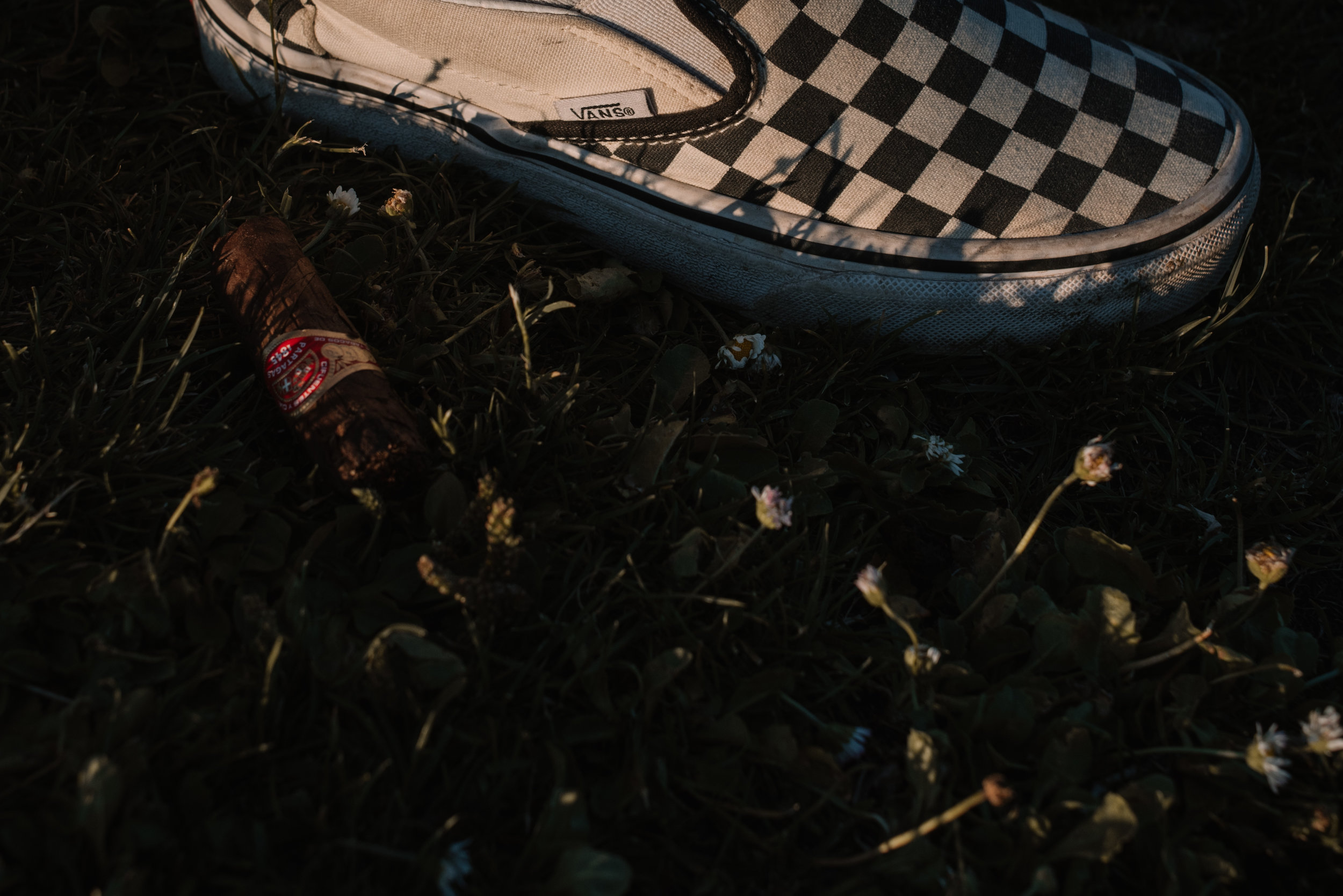 DSC_4411.jpg