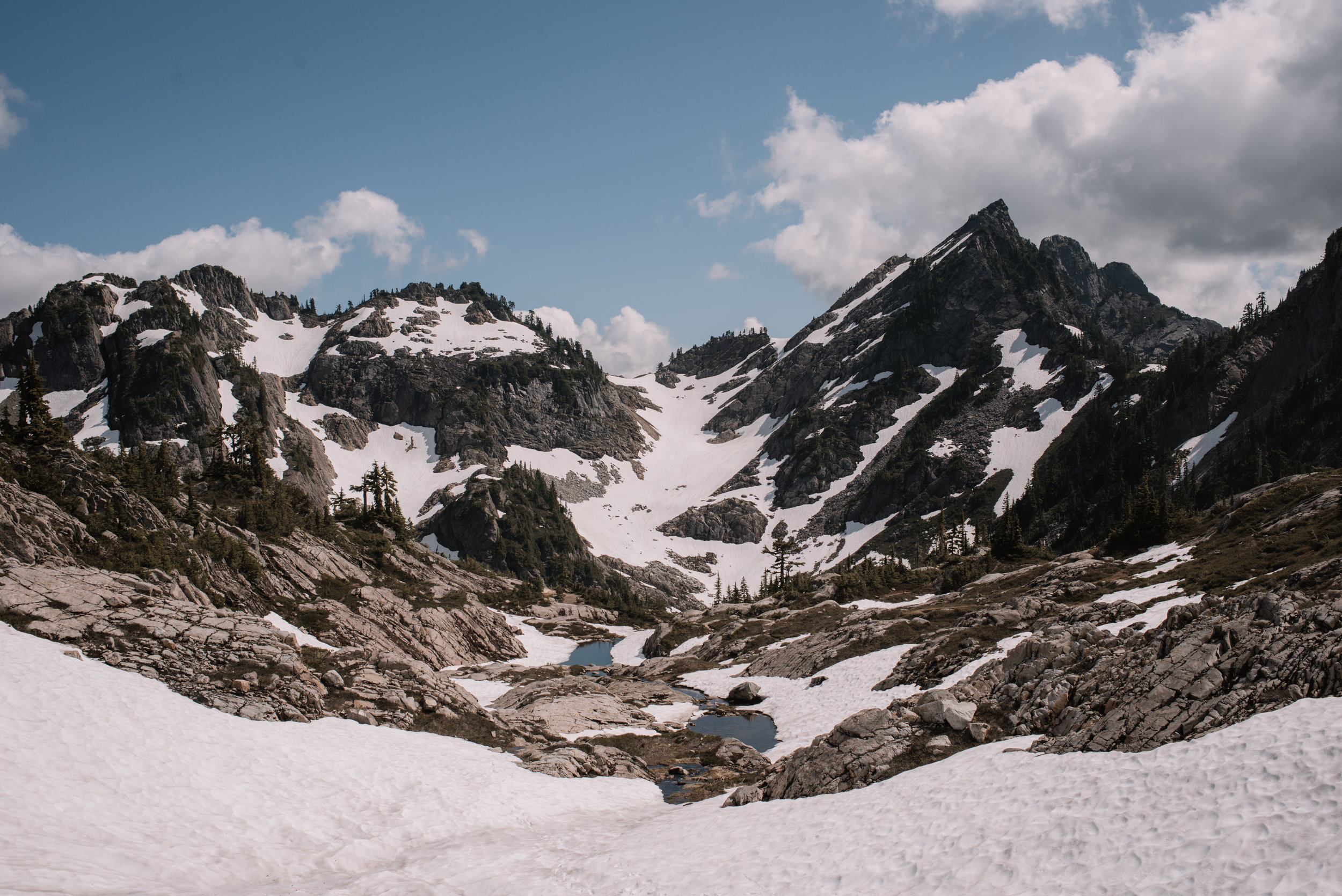 DSC_5150.jpg