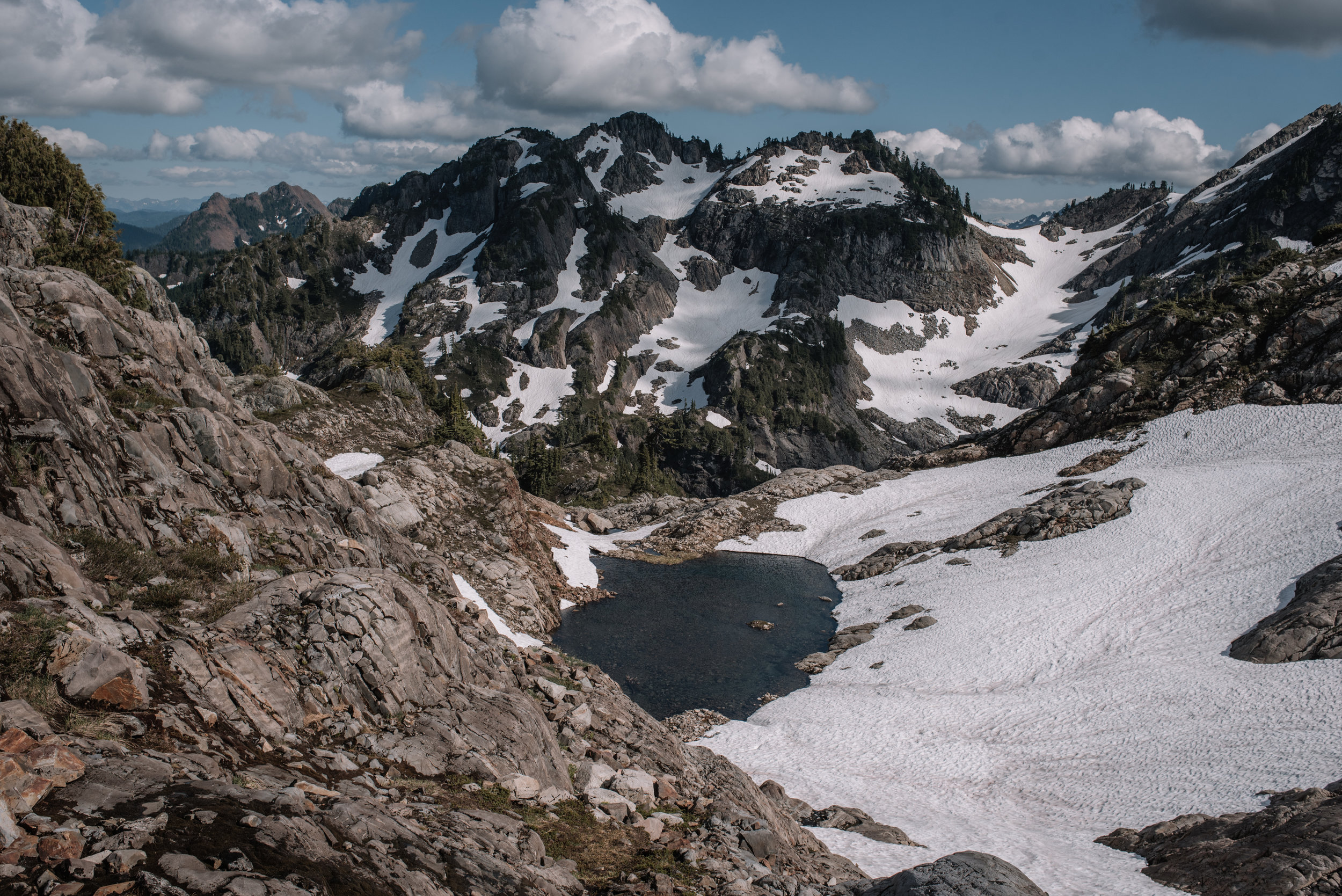 DSC_5165.jpg