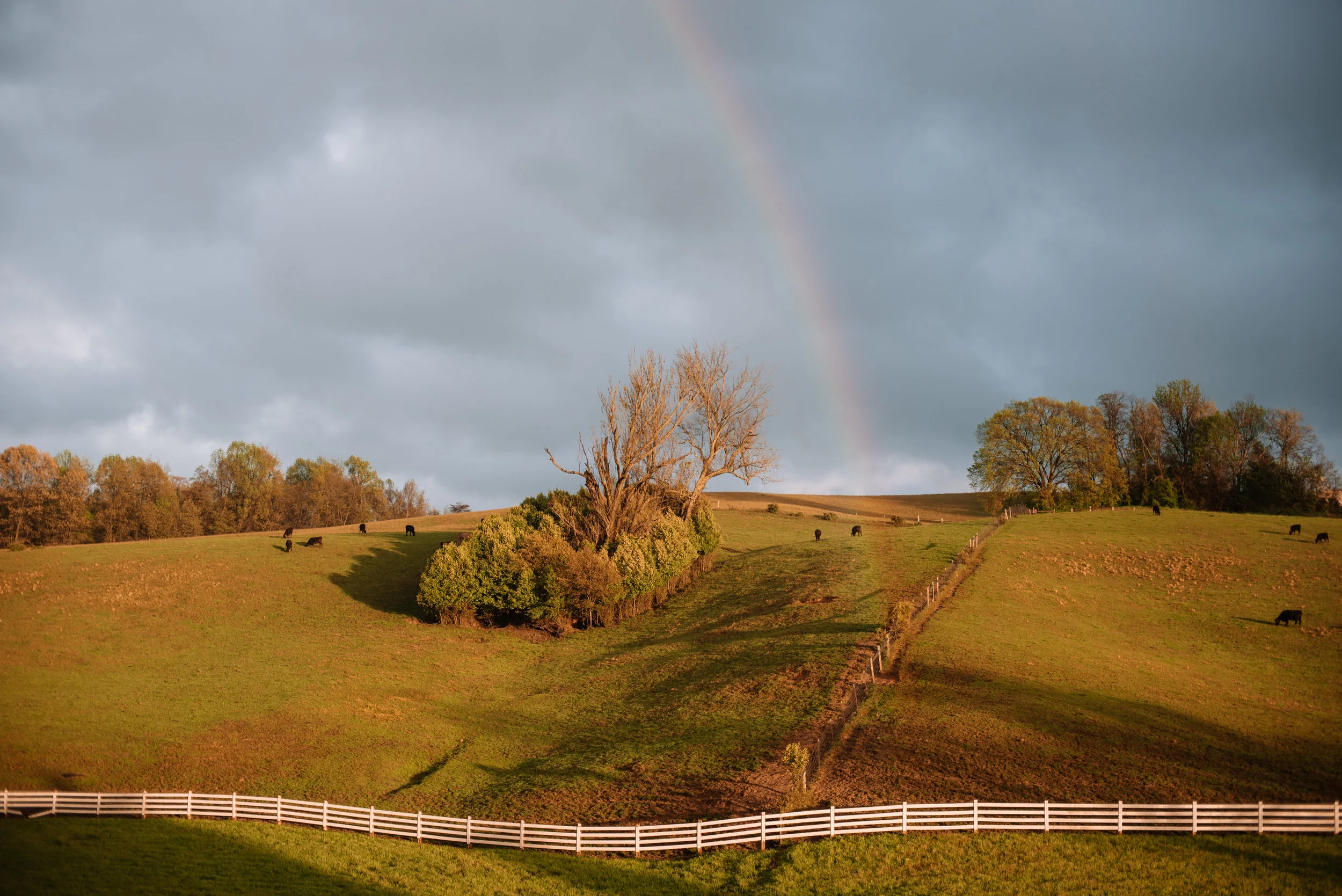 DSC_3497.jpg