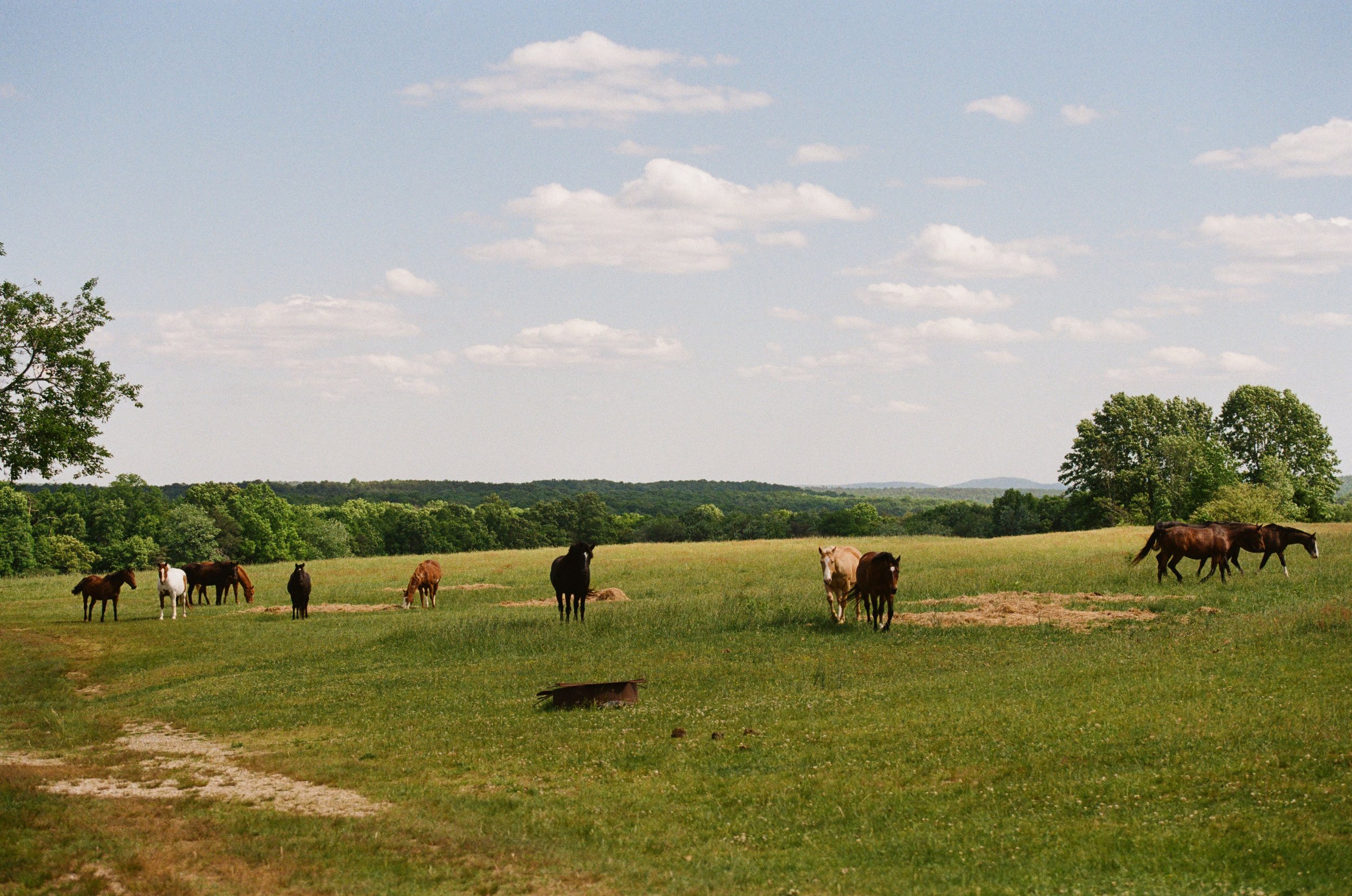 5271_0006.jpg