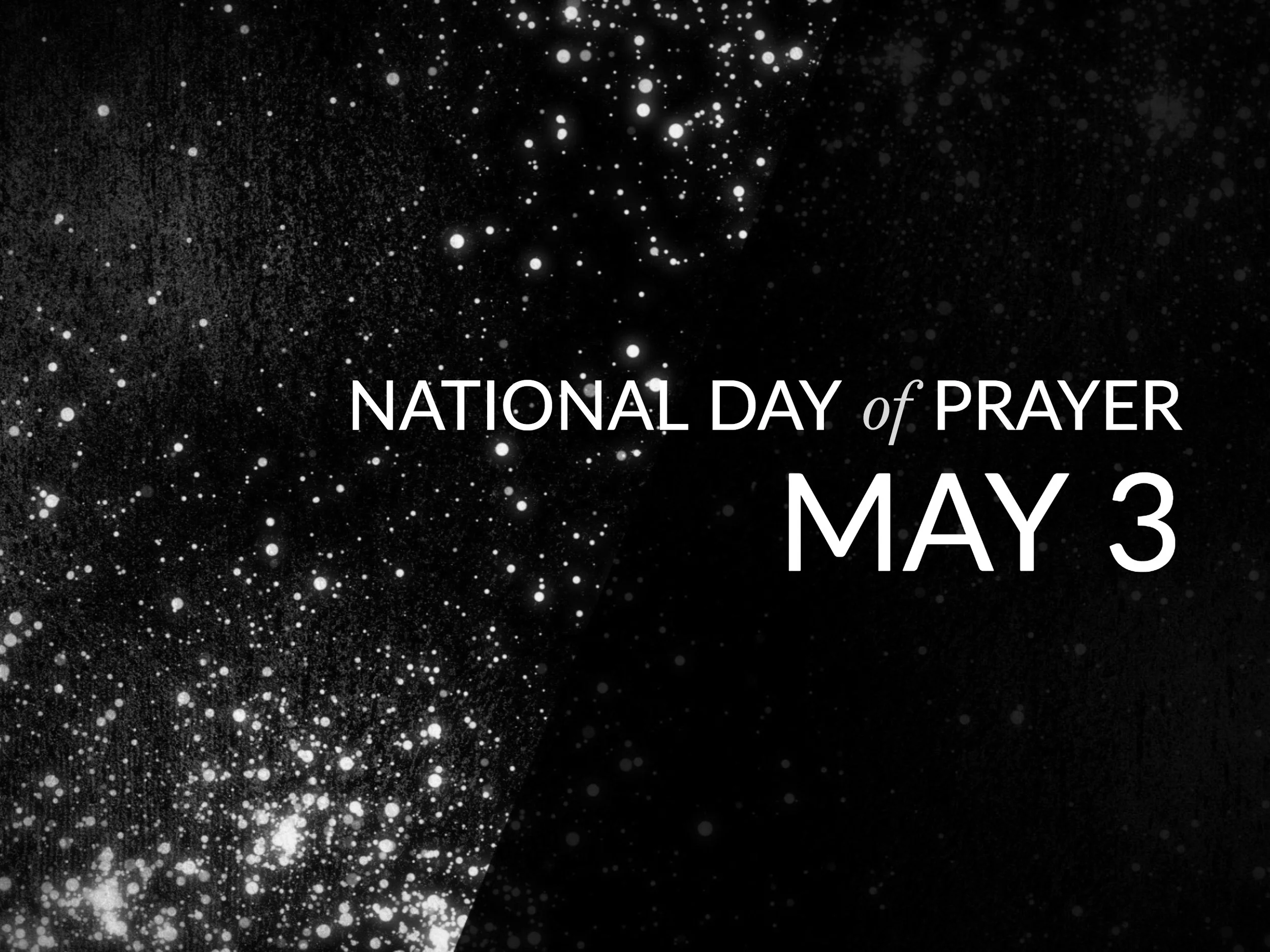 SM Ann NDP May 3.jpg