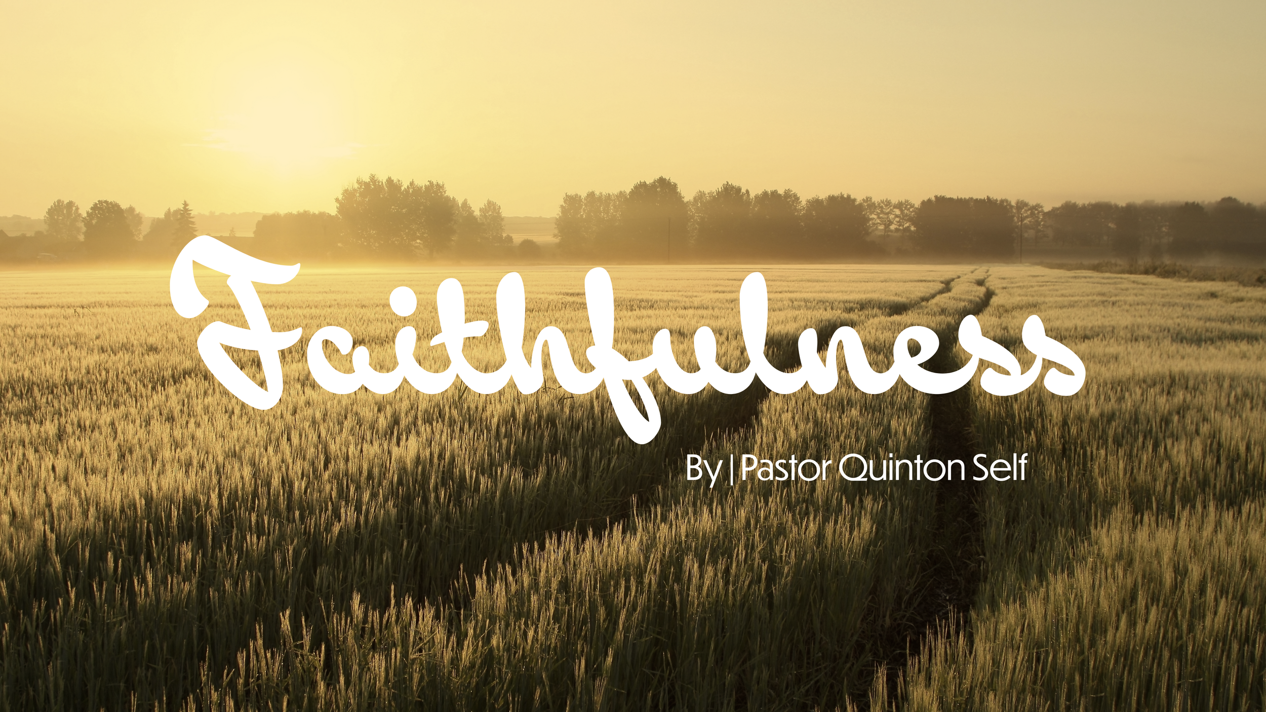 Faithfulness