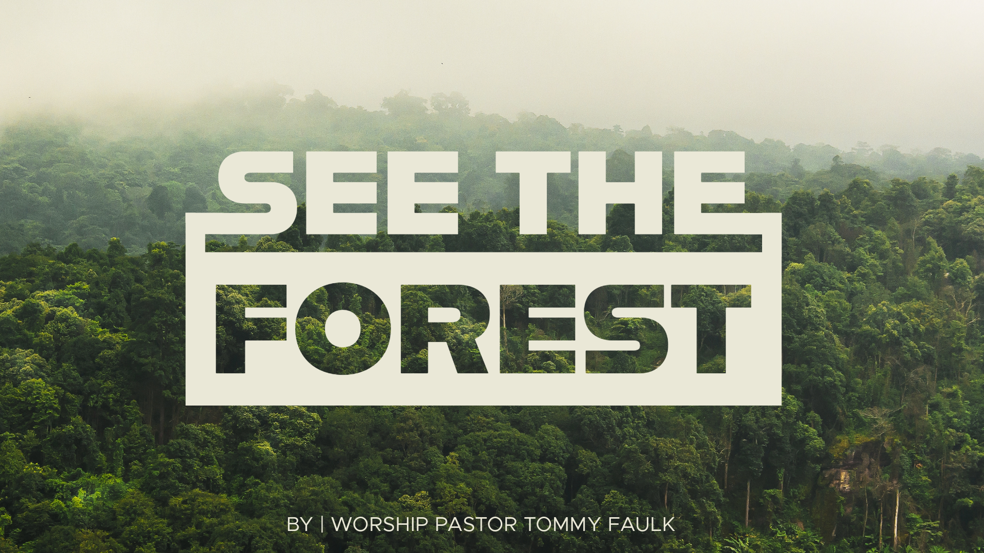 See The Forest