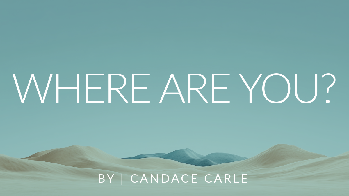 Where Are You? By Candace Carle