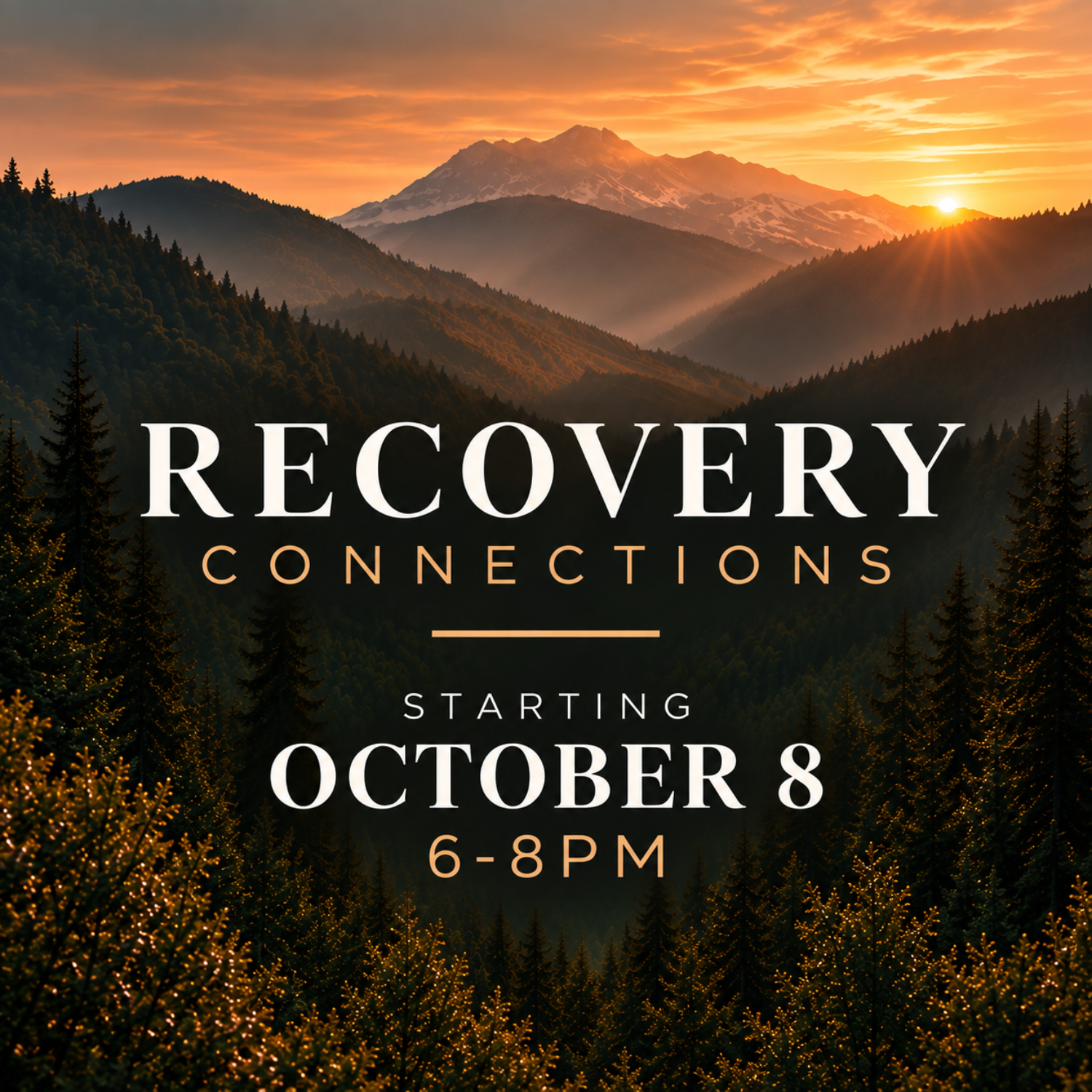 Recovery Connections.png